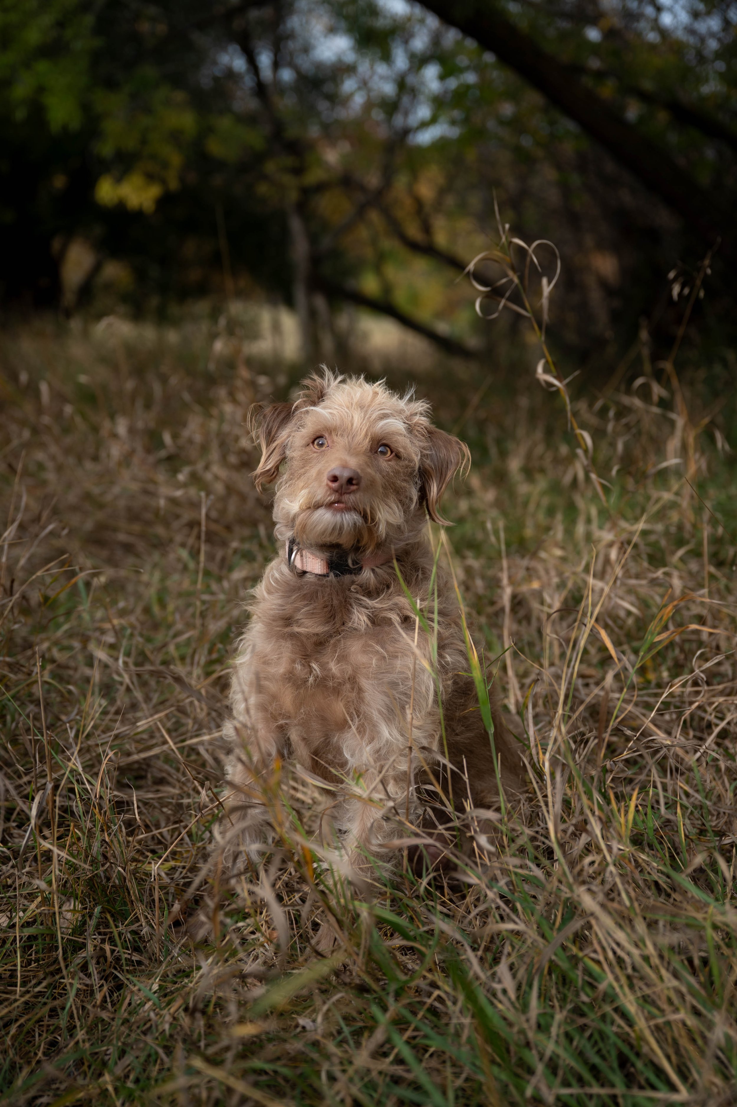 Candis Family-11.jpg