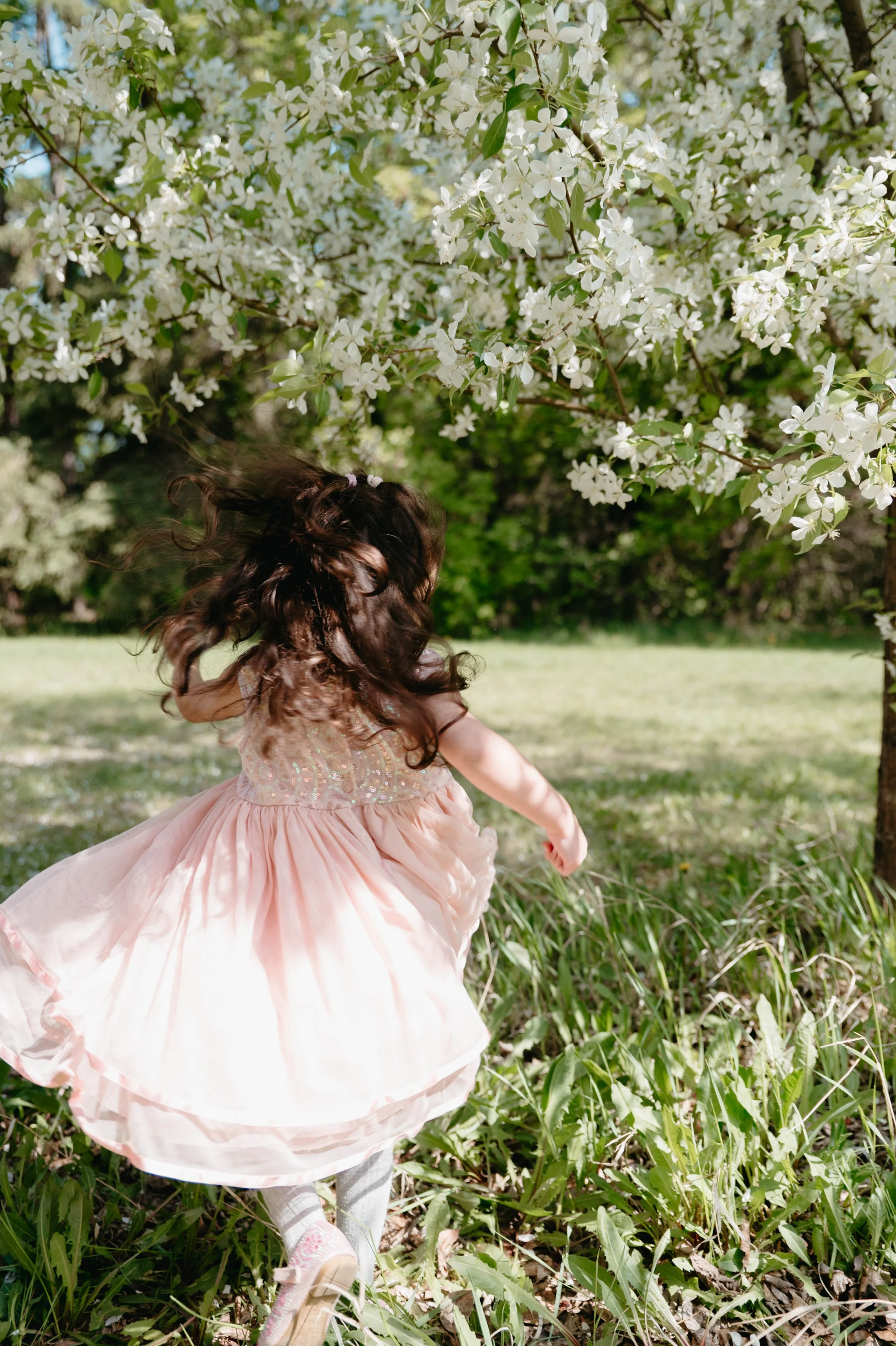 EdmontonFamilyPhotographer-11.jpg