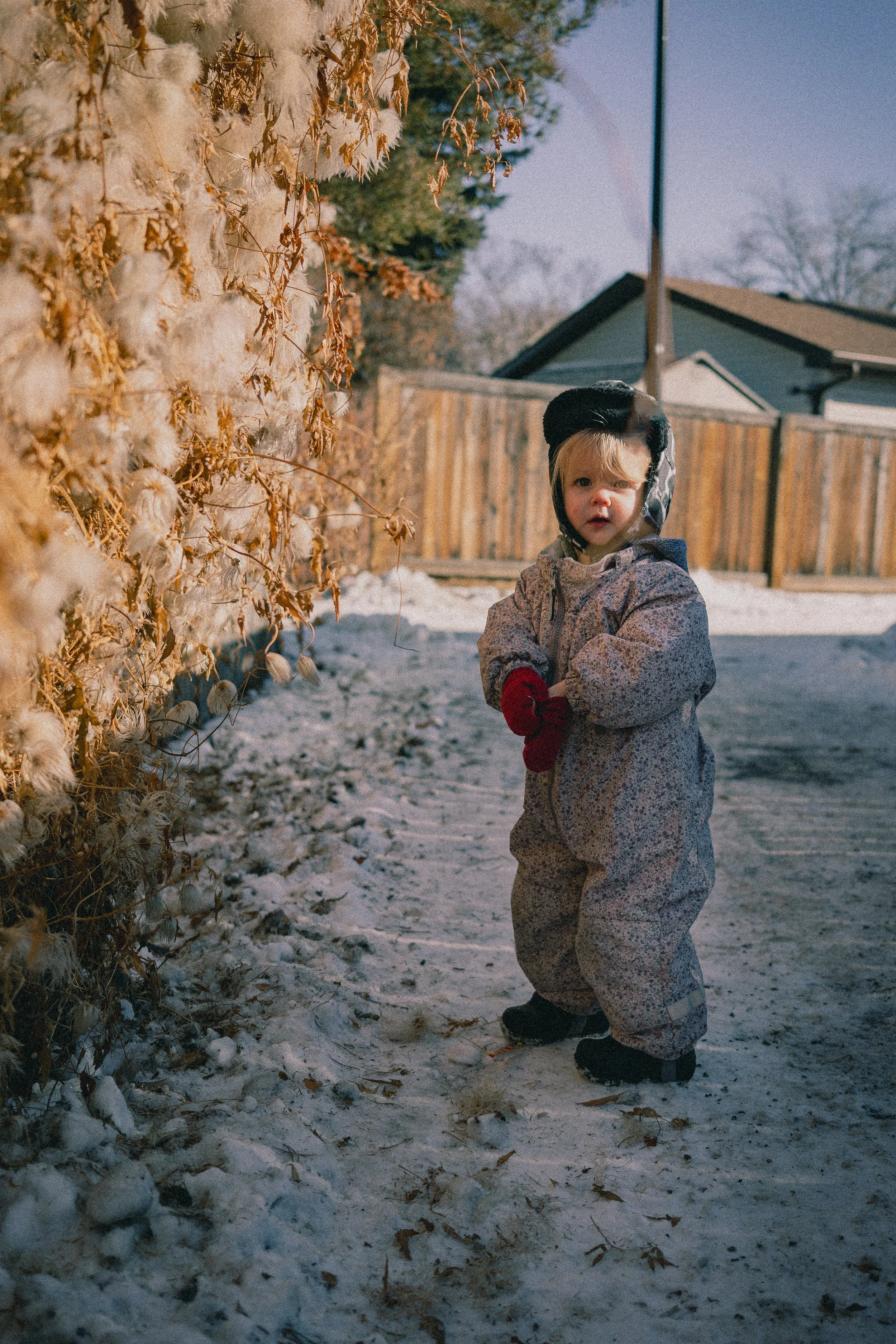 Toots walk - 0003.jpg