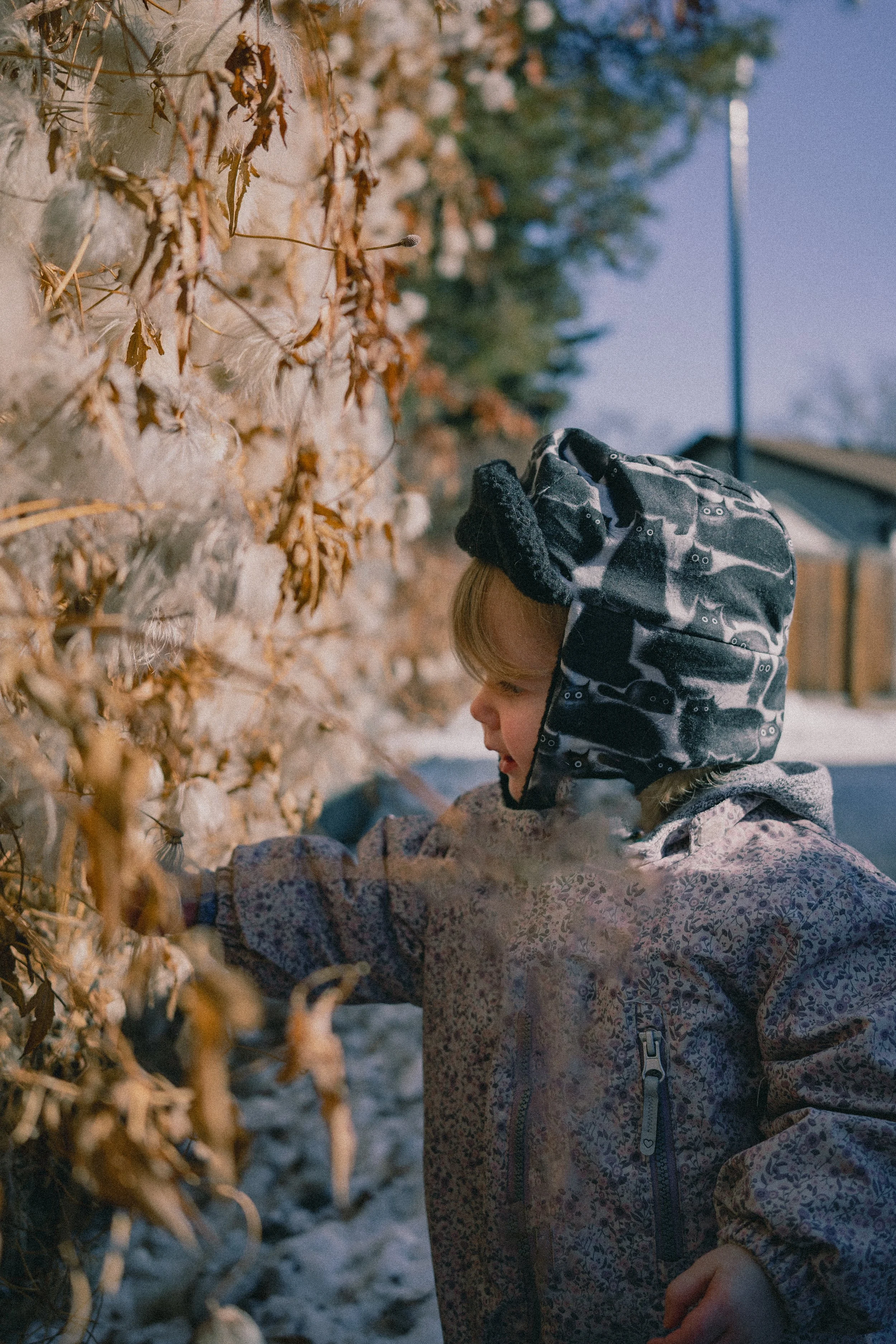 Toots walk - 0004.jpg