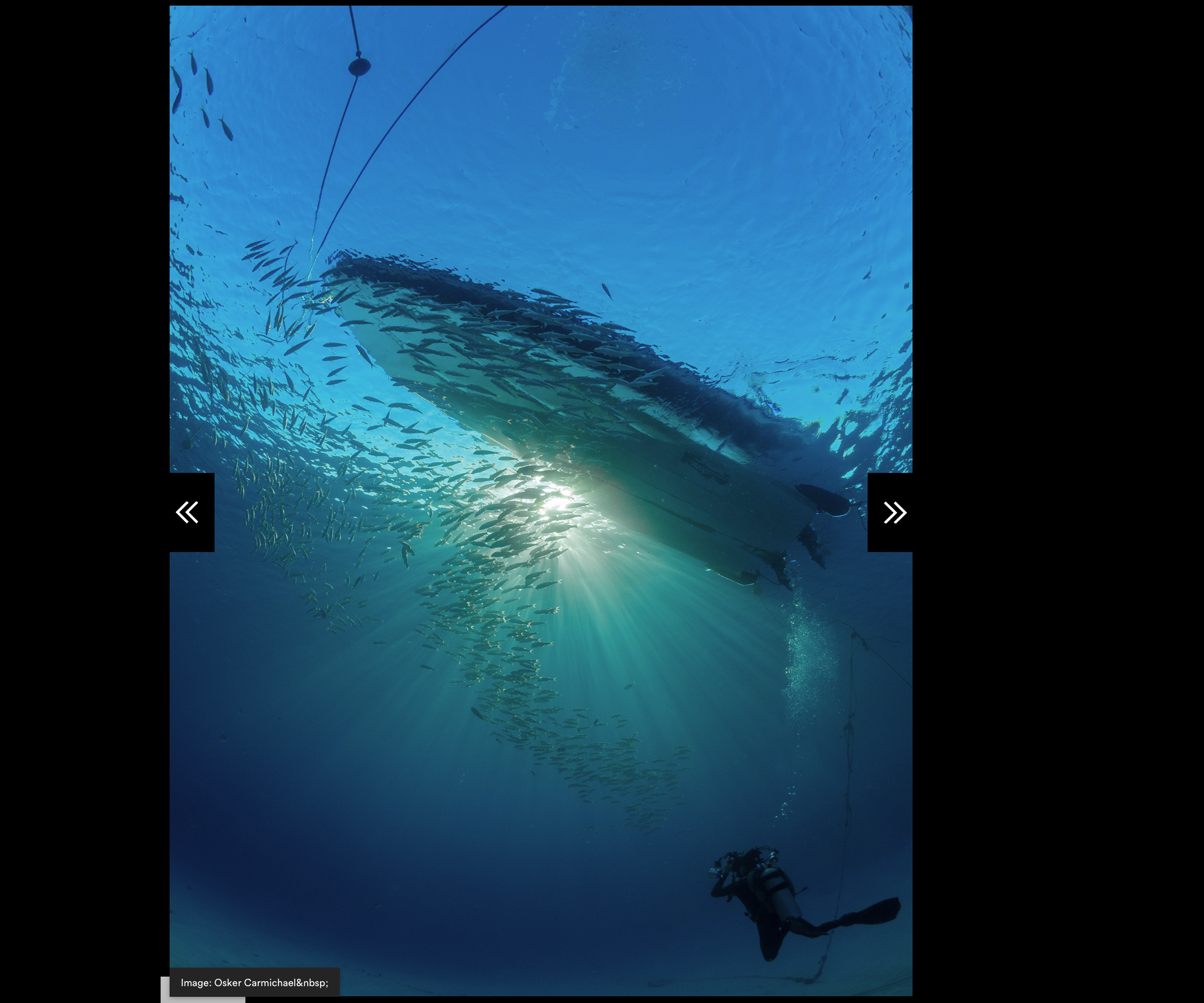 Falmouth University- Red Sea Exhibition 2023 (2 of 2)