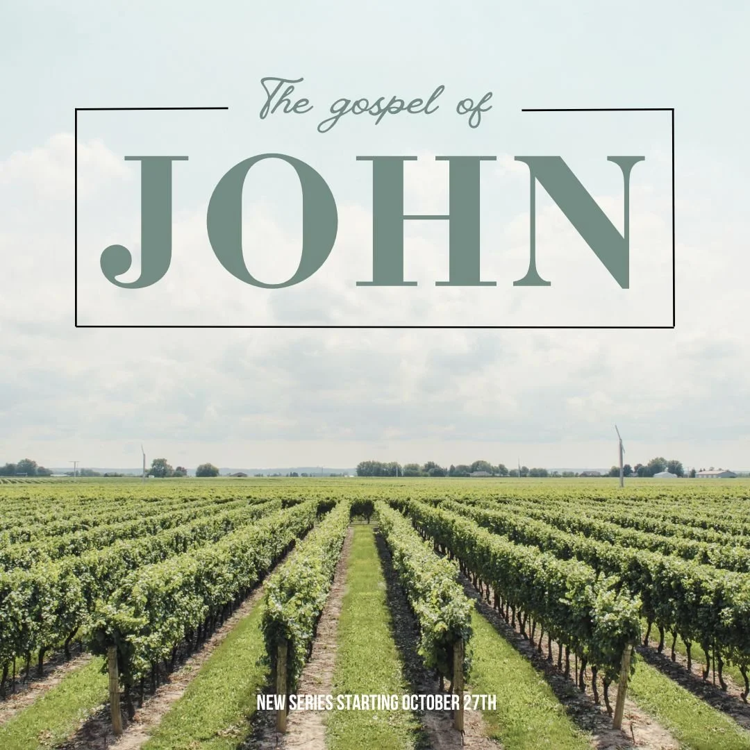 John 15:1-8 — The Vine episode artwork