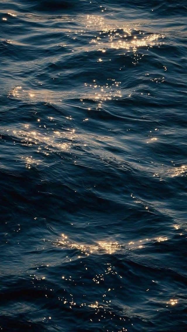 Travel, Hospitality & Luxury (Coming soon)