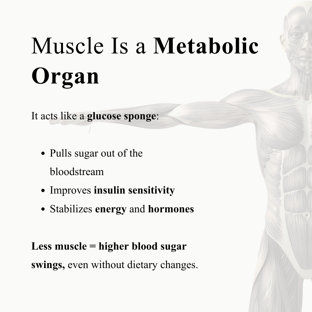 lux body membership 2026 - 6.PNG