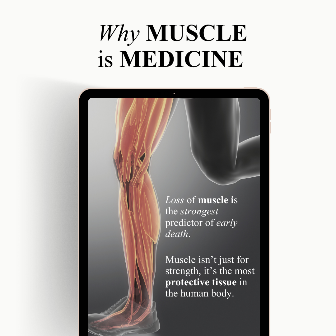 lux body membership 2026 - 2.PNG