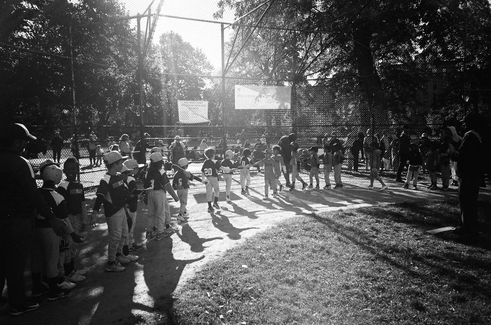 von king mlk day pics website - 4.jpeg