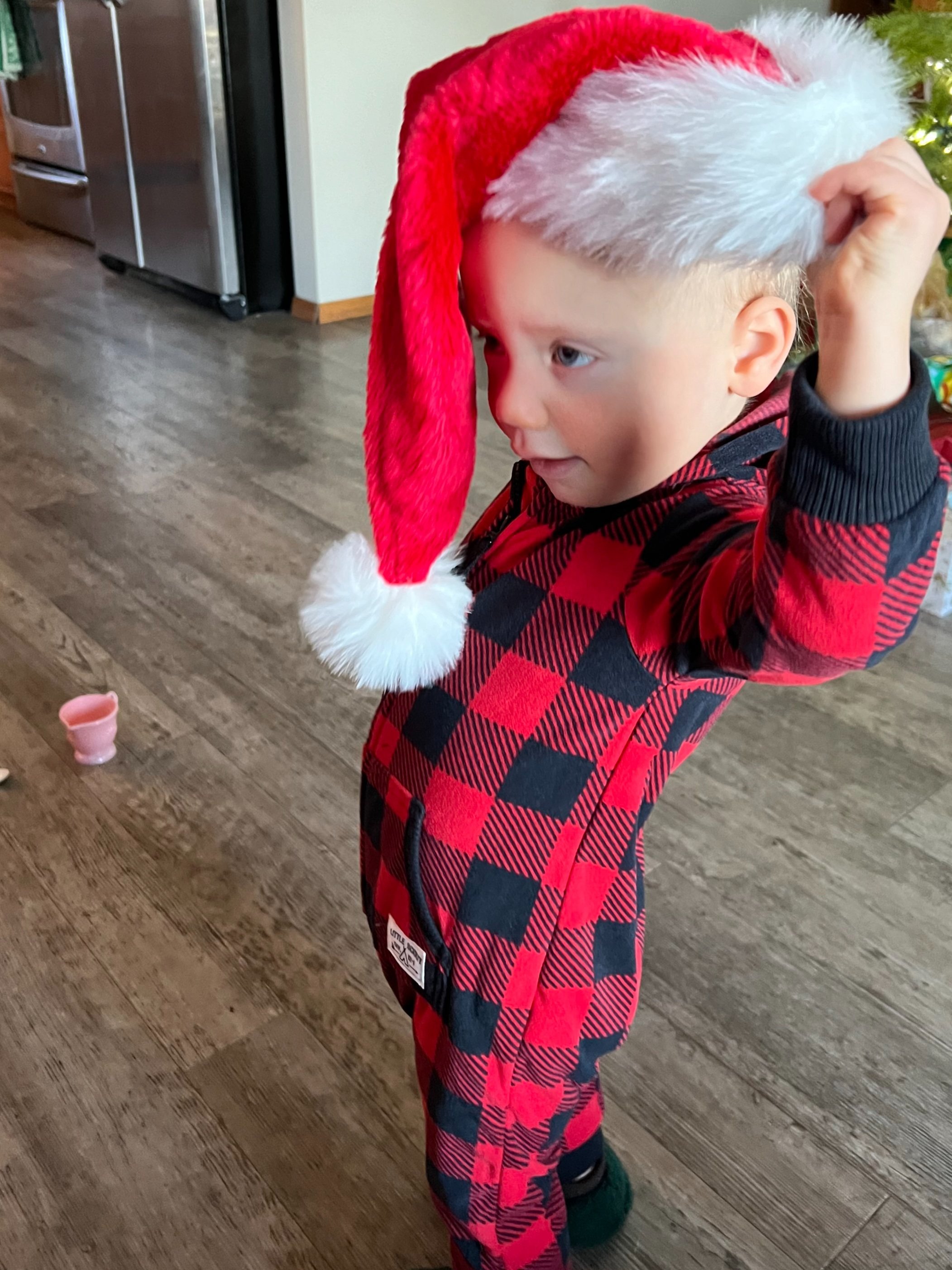 Season of Celebration