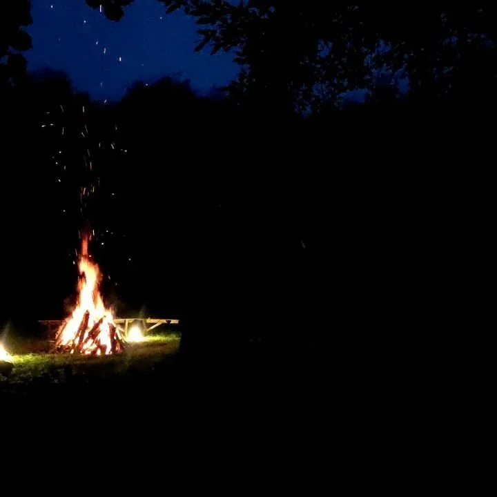 The Hearth Autumn 2024 @embercombeuk 
Blessed we are to hold this ceremony, to tend these fires, to dance these dances, to hear the beat of these lands. 

.Water buffalo horn
.
#thehearth
#ceremony
#firetending
#homecoming
#natureconnection
#Earth
#q