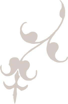 Black silhouette of a stylized floral design with curling leaves and tendrils on a gray background.