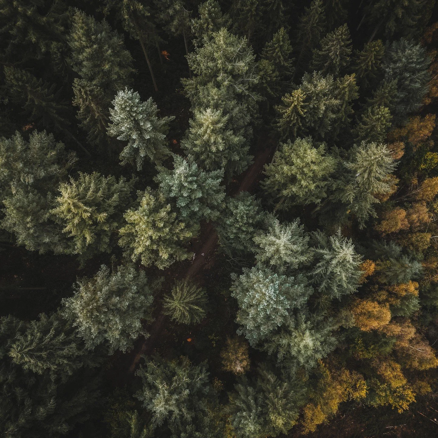 #ardennen #outdoor #buitenleven