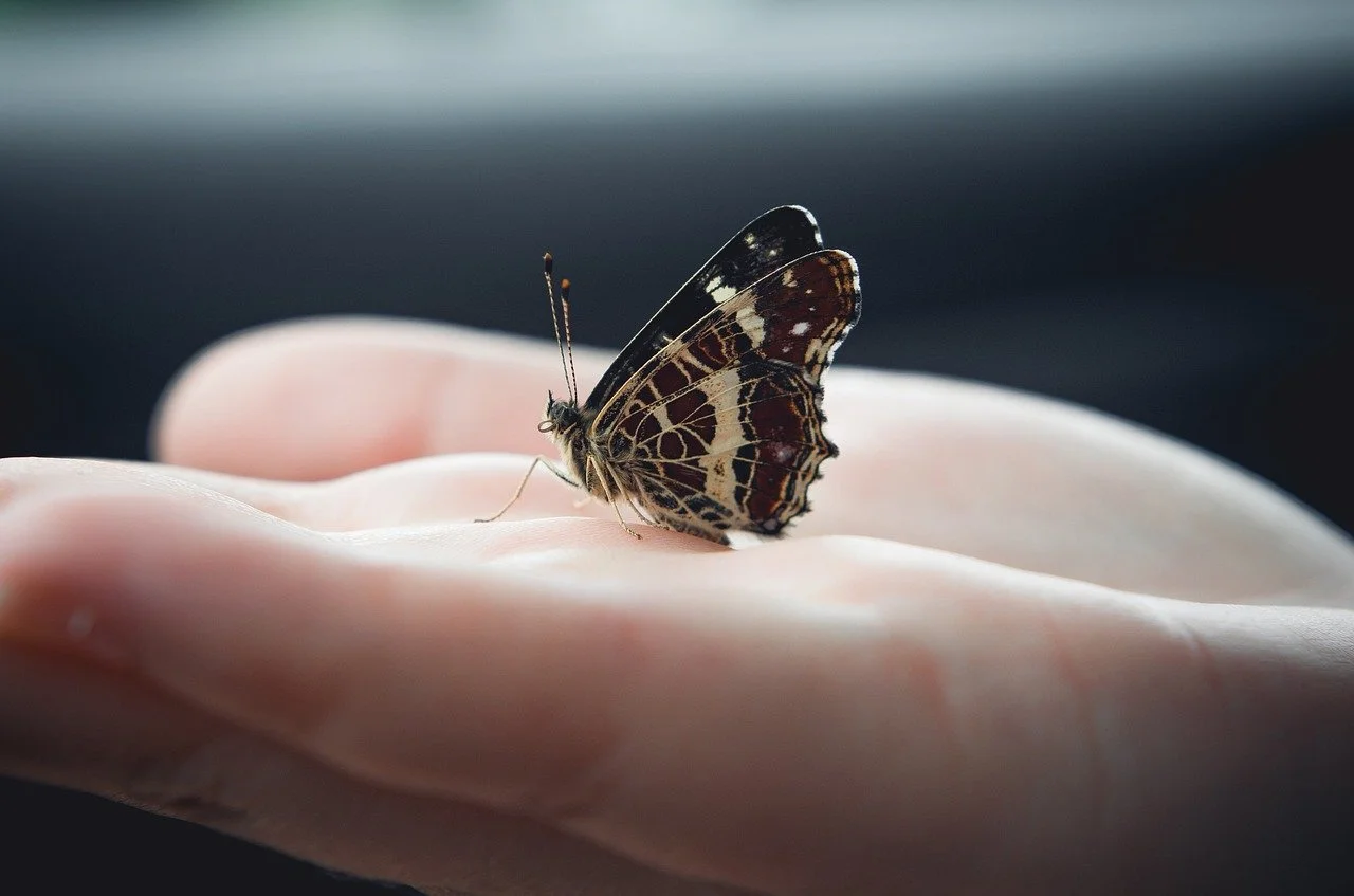 stress therapy trauma recovery therapy trauma therapy mississauga trauma therapy