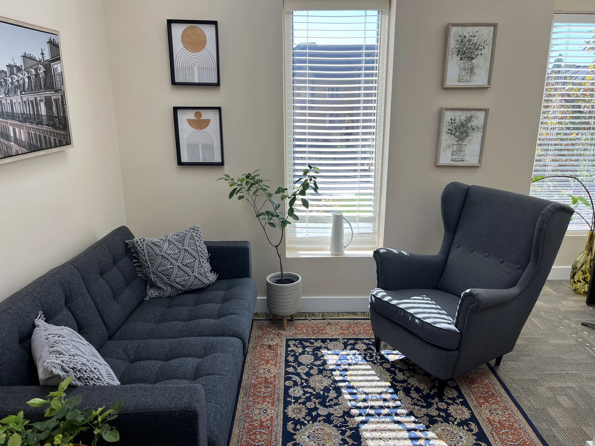 A cozy living room with a dark gray tufted sofa, a matching armchair, a potted plant next to a window with white blinds, and framed wall art featuring botanical prints, all on a patterned area rug with sunlight streaming through the window.