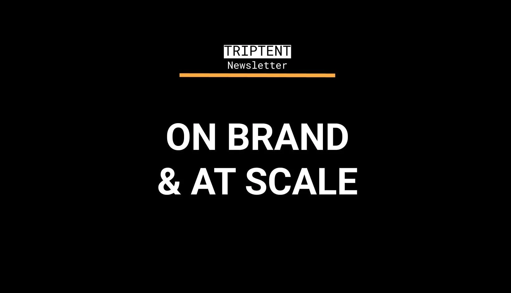 Newsletter vol. 3