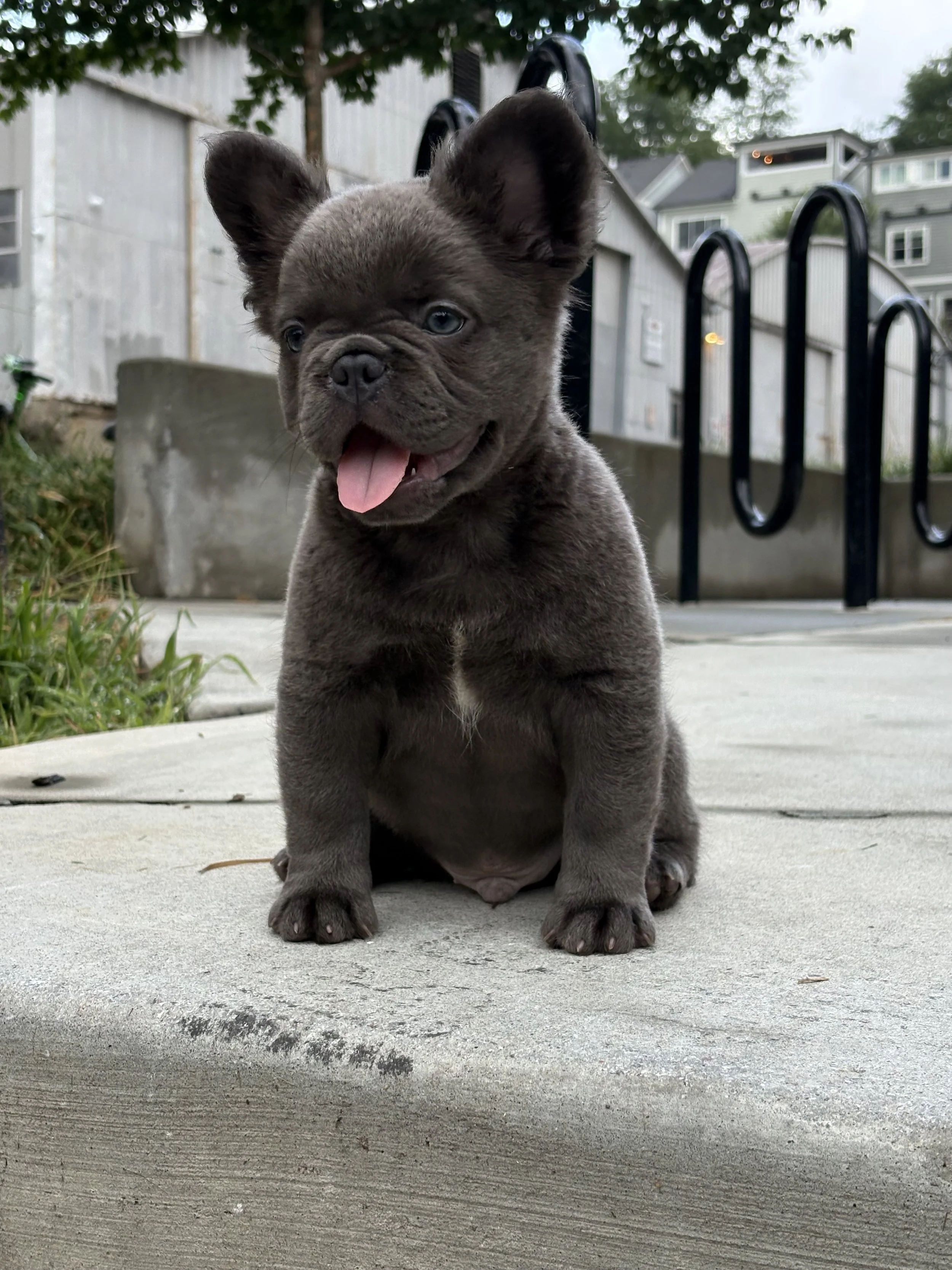 IMG_0342.jpeg