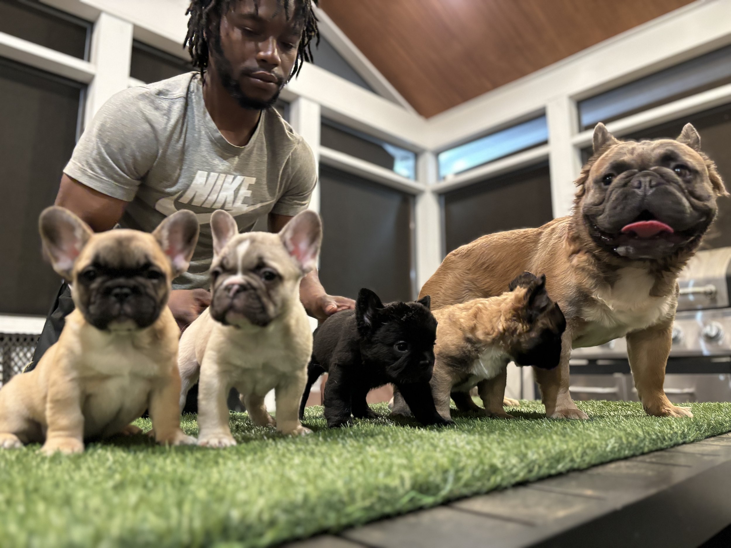 Stud and his offspring