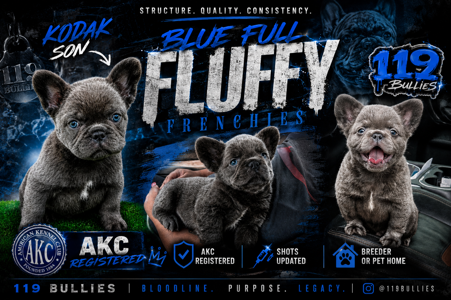 BLUE MALE FULL FLUFFY