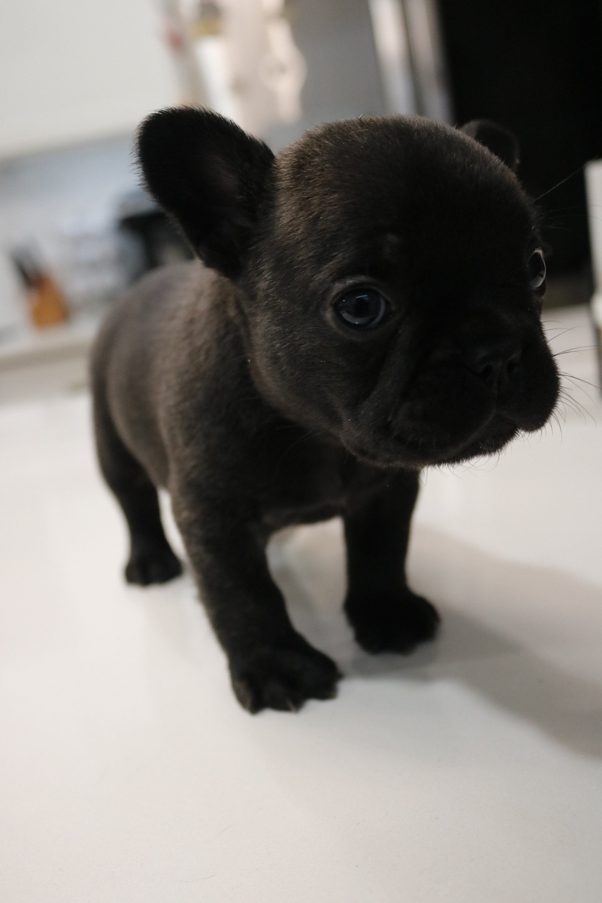 _MG_1592.JPG