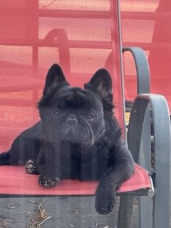 IMG_5036 2 Small.jpeg