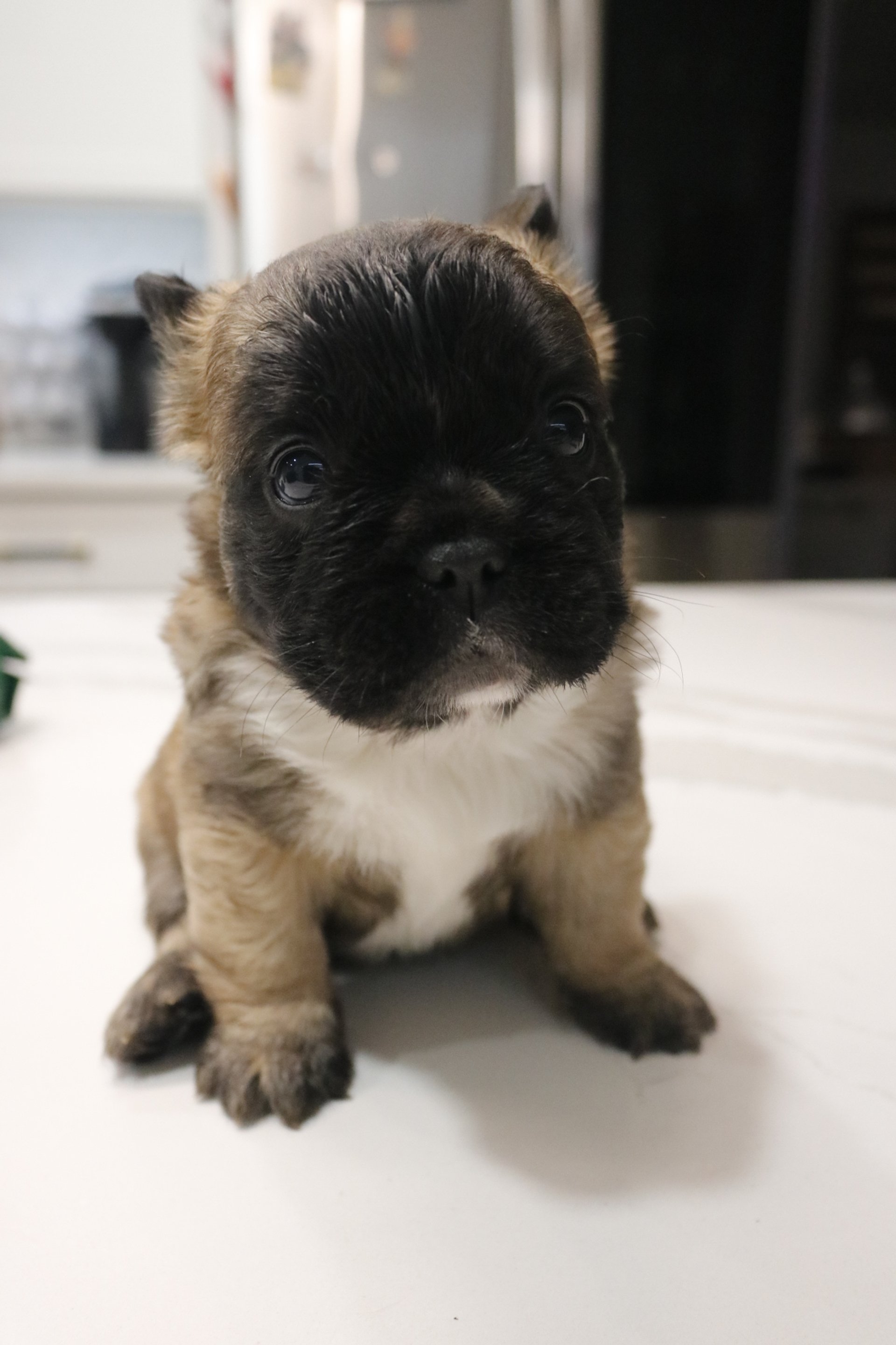 _MG_1441.JPG