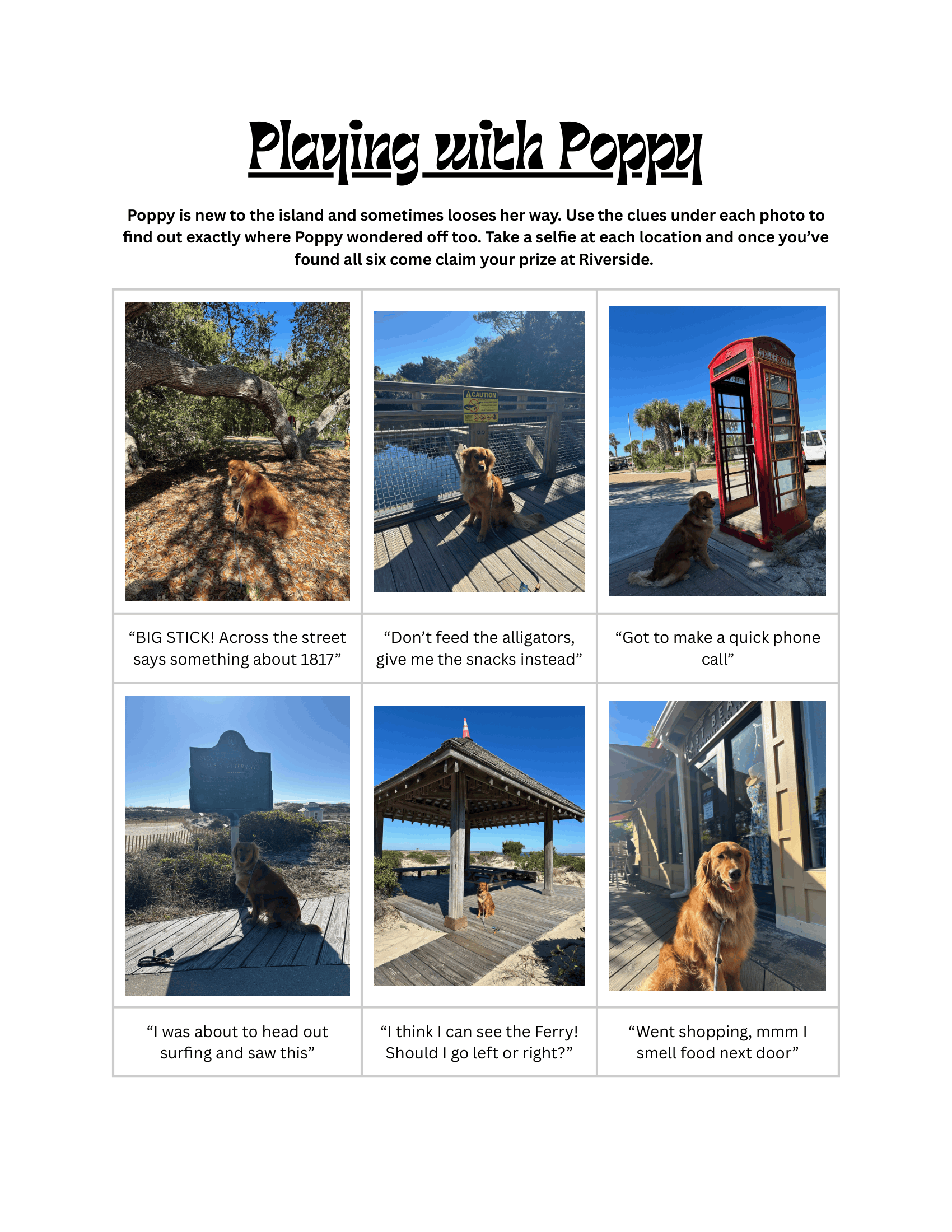 A page from a scavenger hunt activity featuring photos of a dog on Poppy Island. The text invites participants to find locations Poppy wondered off to and take selfies, then claim their prize at Riverside. The photos include a dog near a tree, dog sitting on a bridge with a caution sign, and a dog by a red telephone booth.