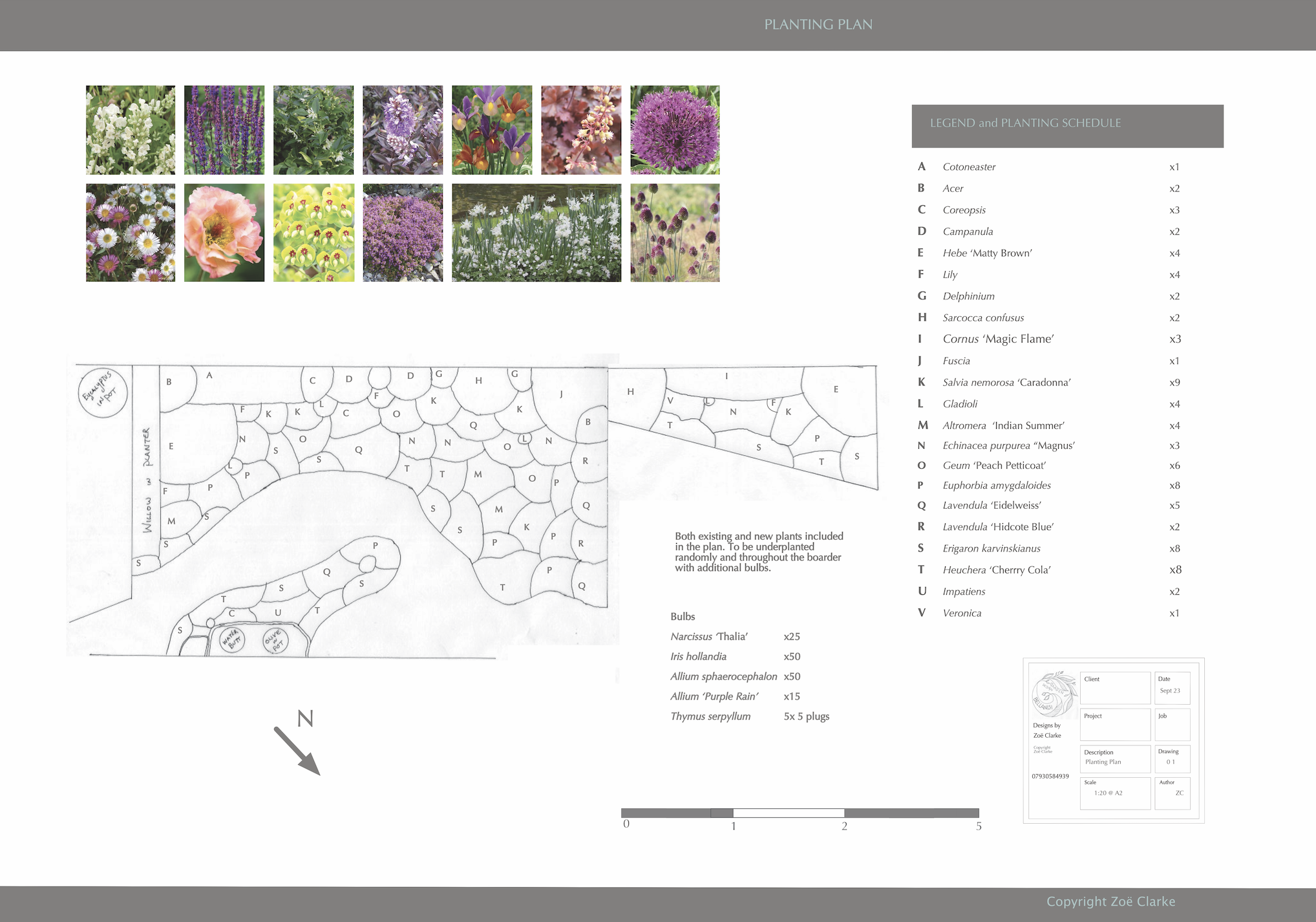 A detailed planting plan with a grid layout that includes images of various flowers like white, purple, pink, yellow, and purple blooms at the top. There's a legend on the right listing flower names and quantities, and a black and white diagram of planting sections below.