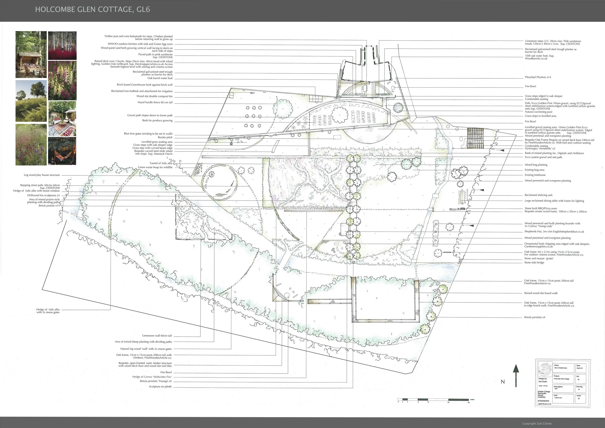 Zoë Clarke- Project 3 MLP.jpg