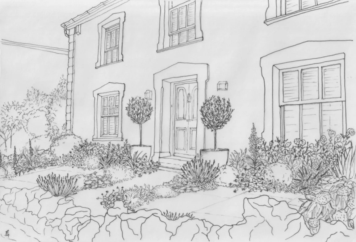 Front garden corner house sketch.jpeg