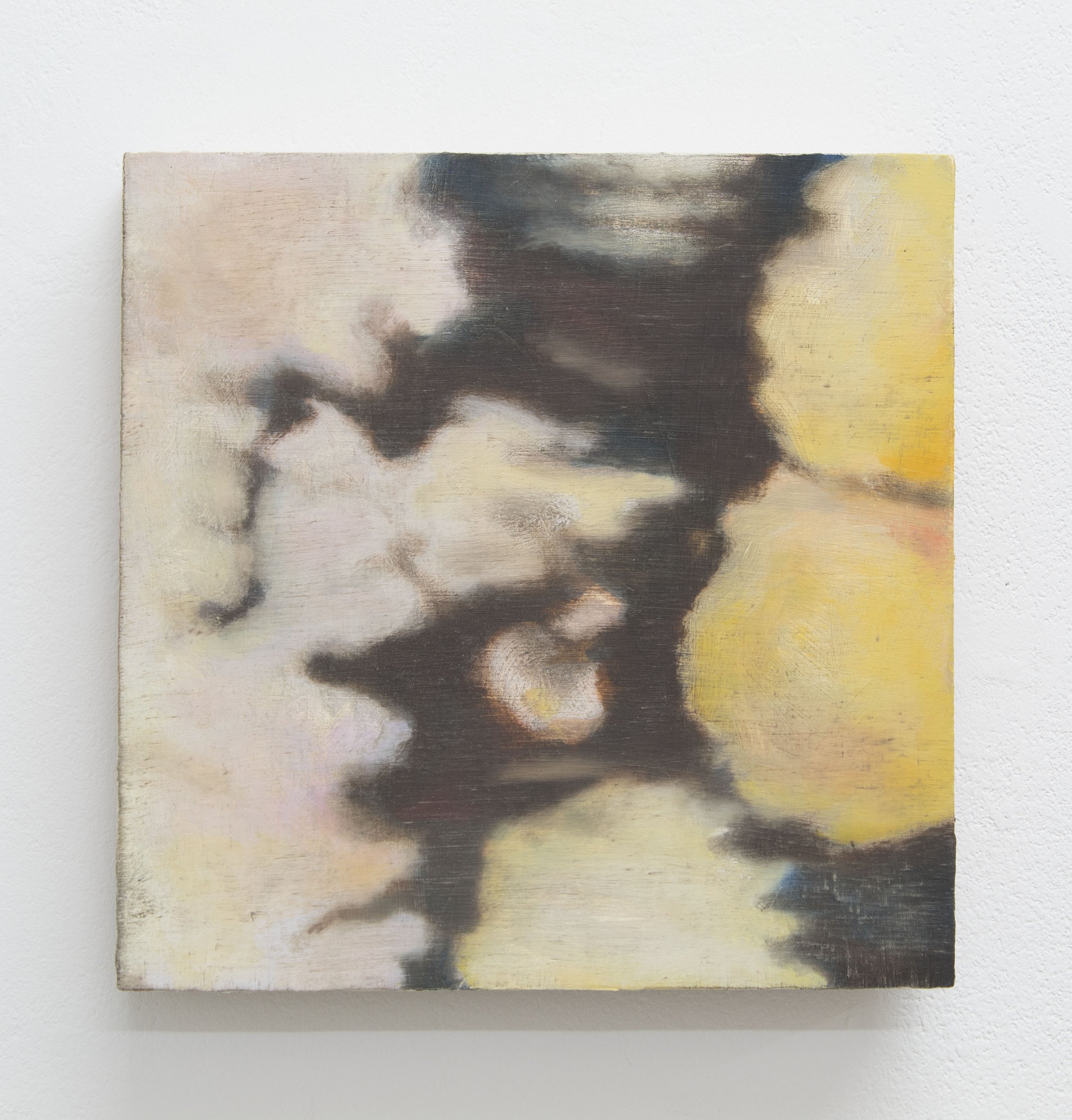 Floral space
Oil on panel
20 cm x 20 cm
2022