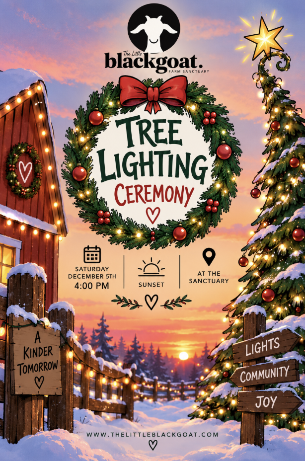 Tree Lighting Ceremony 