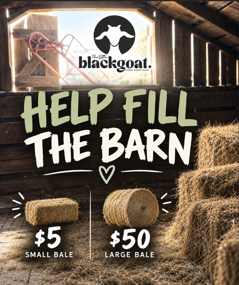 Help Fill the Barn 
