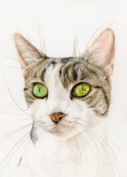 Odessa low resolution.png