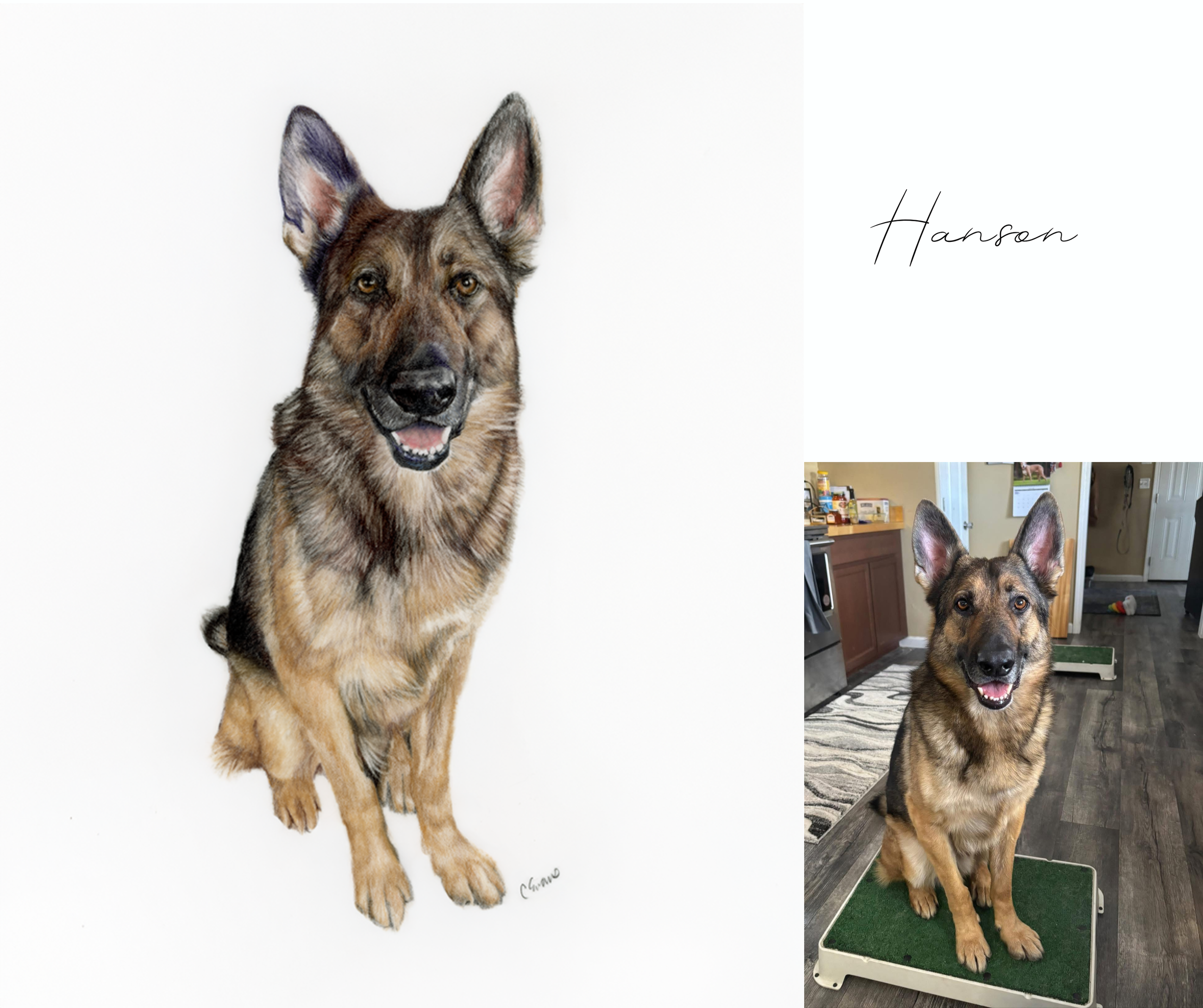 Hanson of K9 Elite, Toledo, Ohio