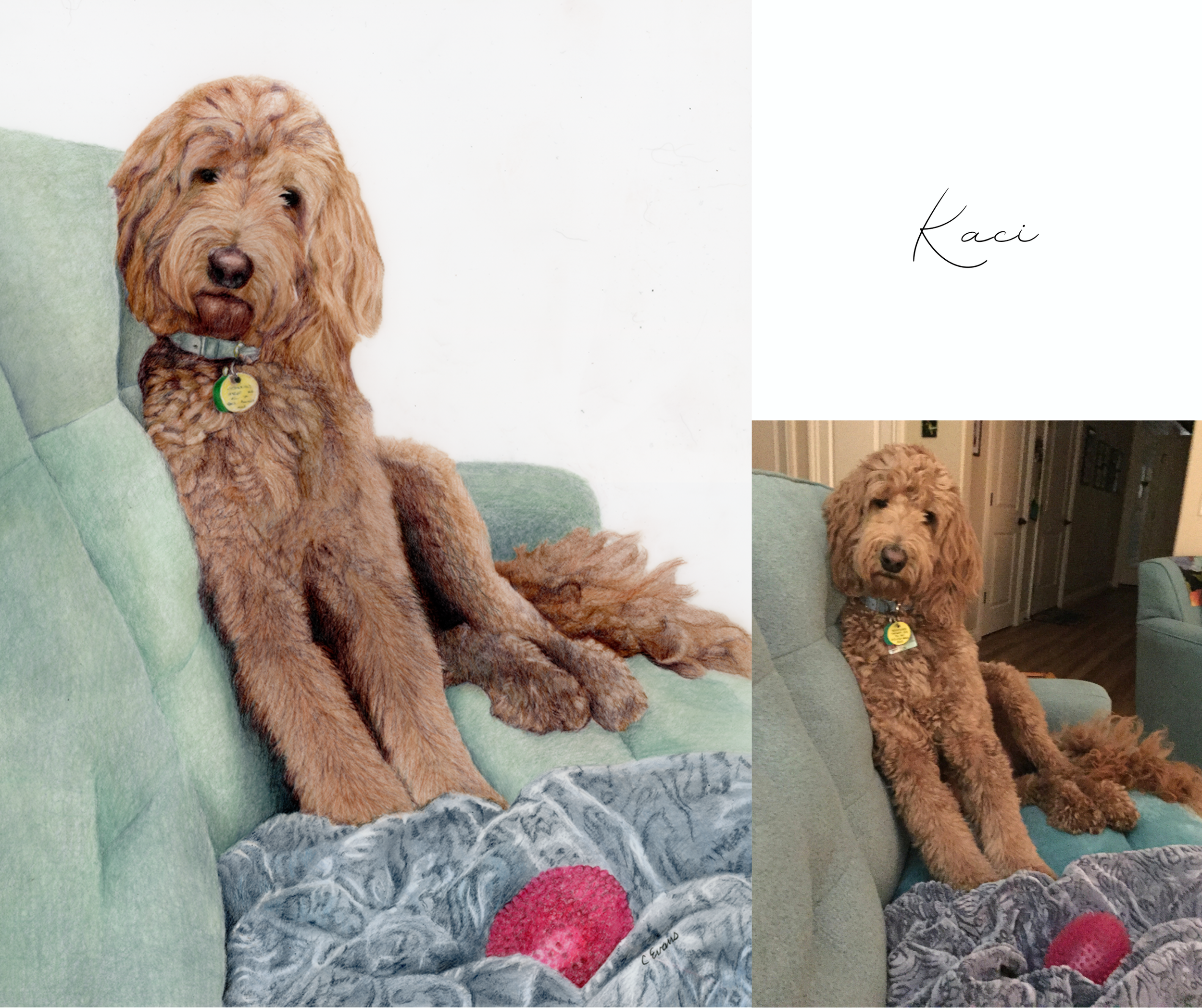 73 Kaci.png
