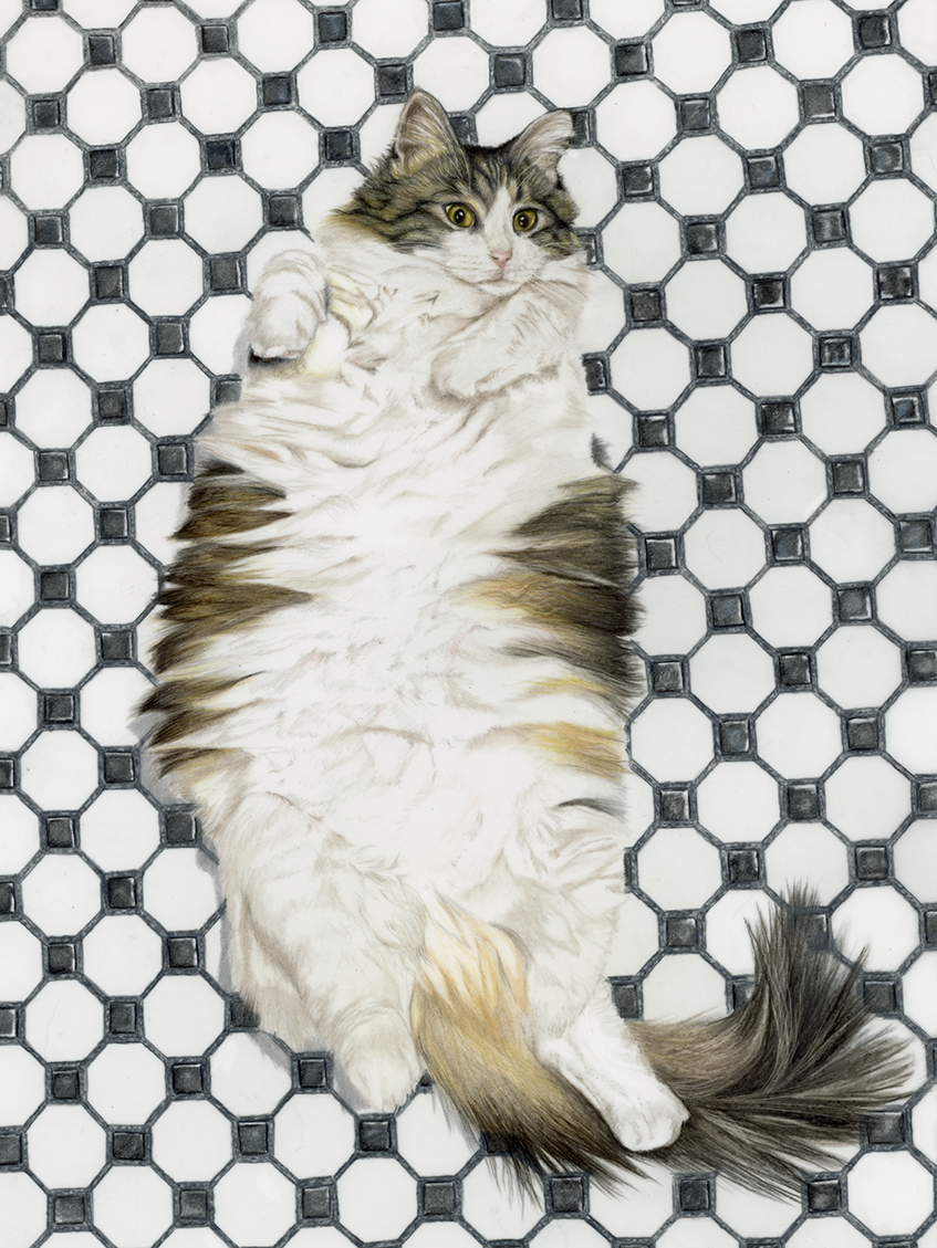 Laze low resolution.png