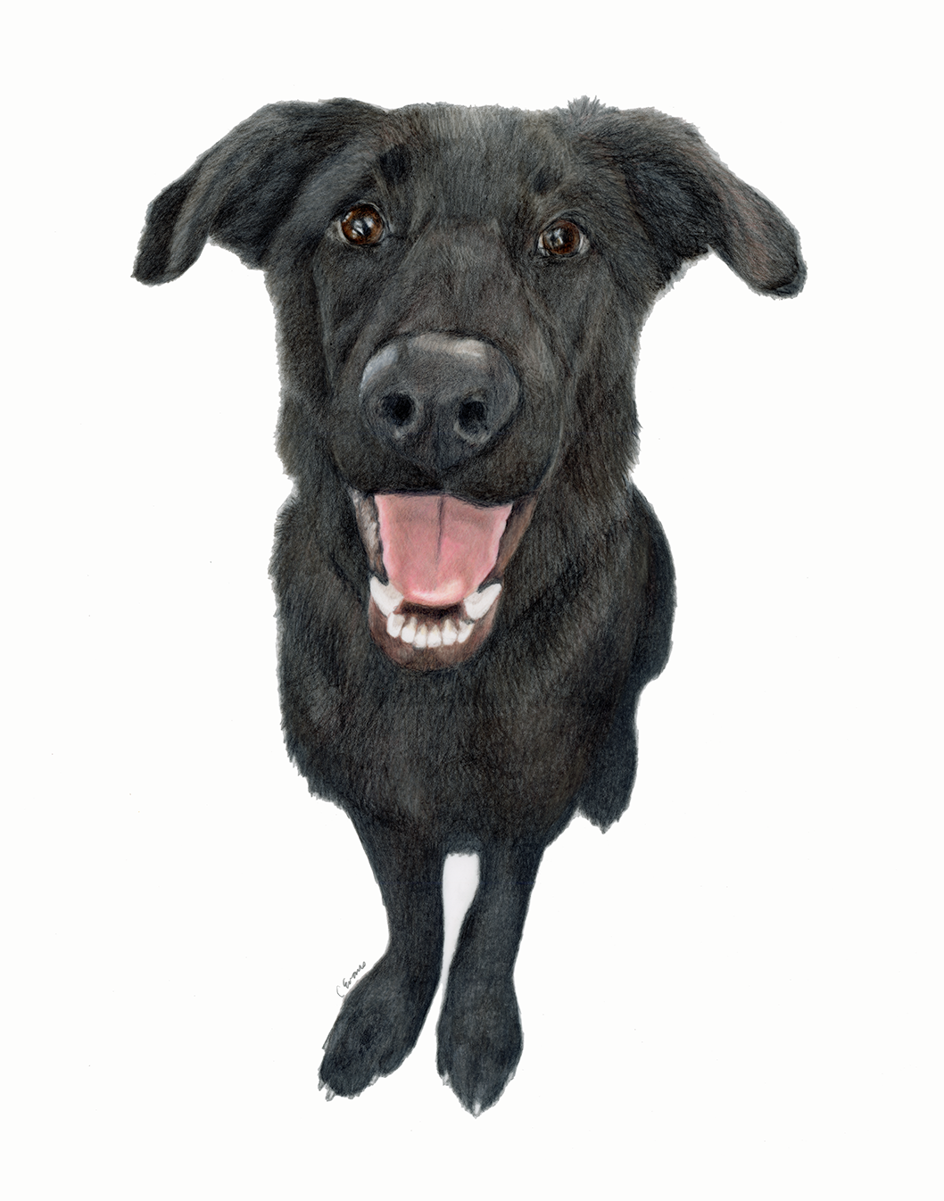 ColbyJack low resolution.png