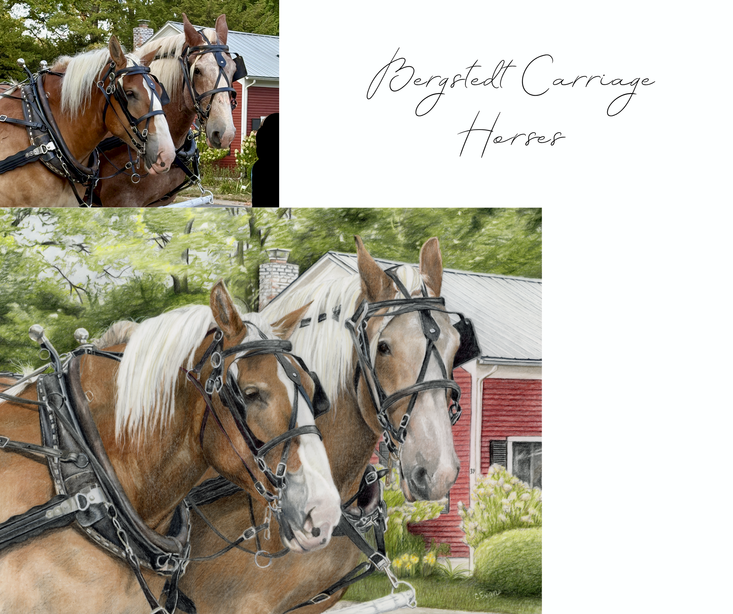 84 Bergstedt Carriage Horses.png