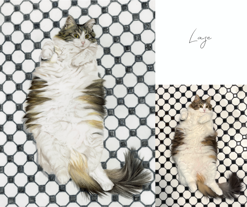 67 Laze.png