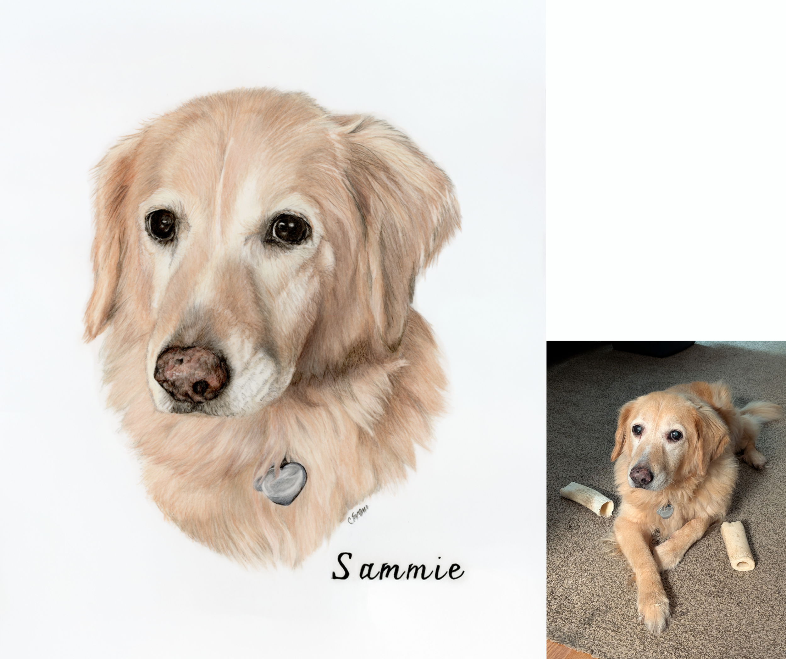 85 Sammie.png