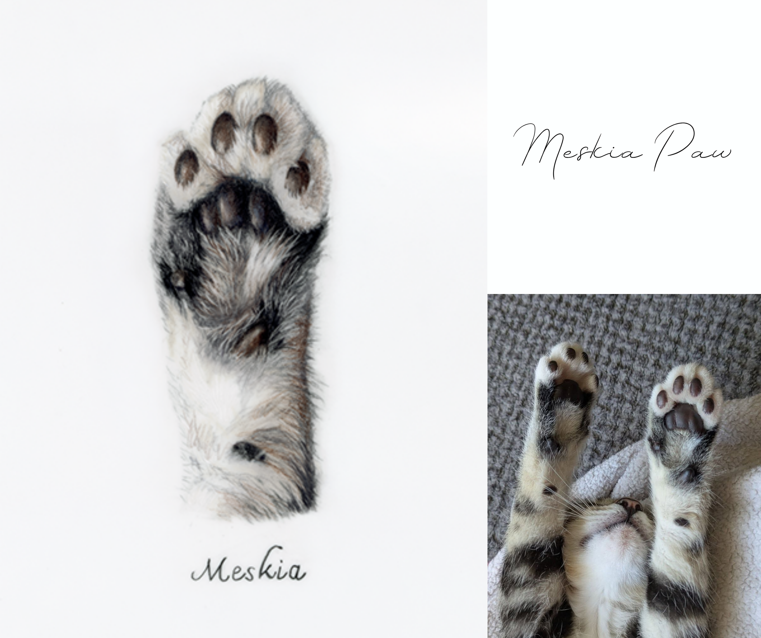 82 Meskia Paw.png