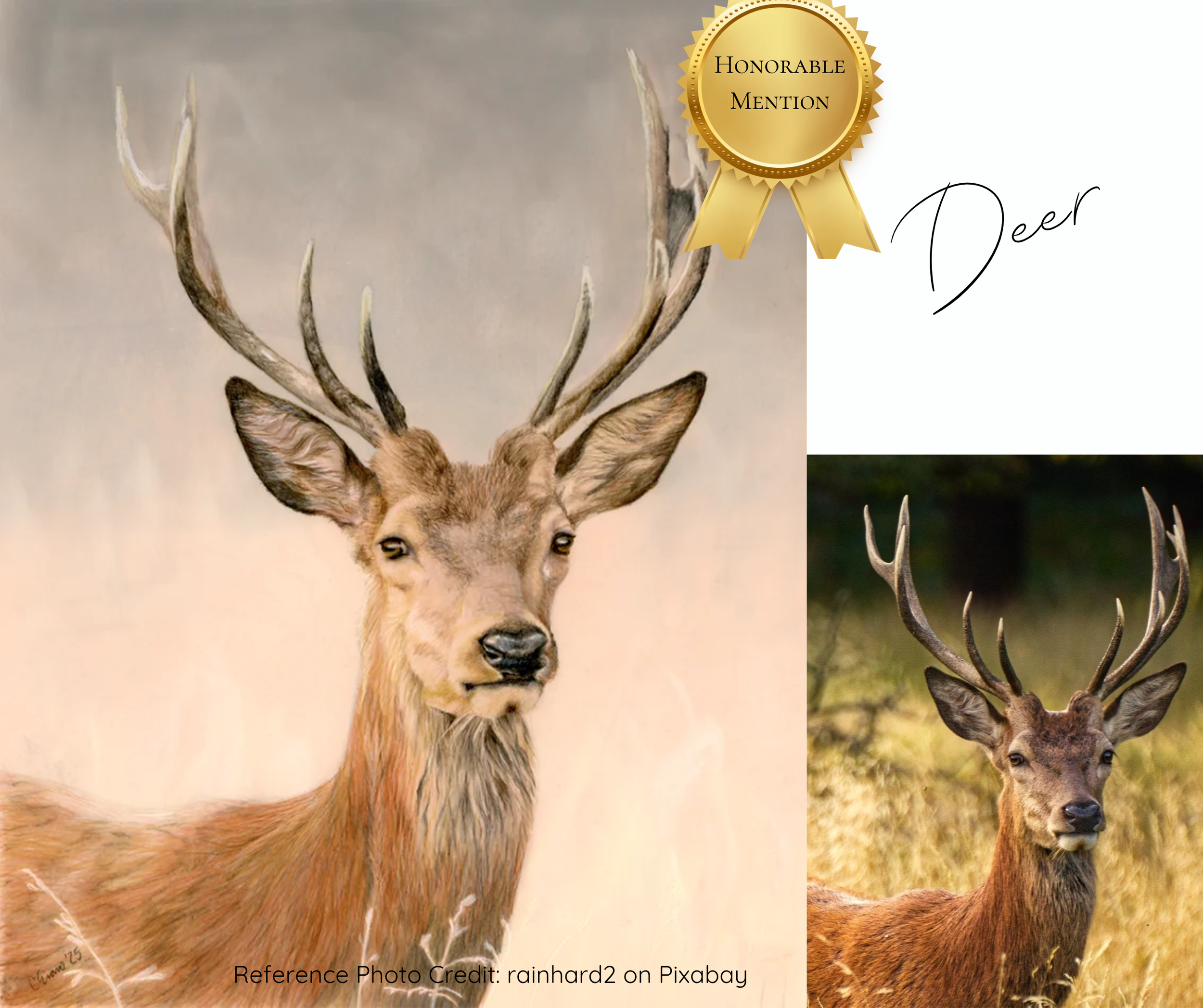 Bowling Green Arts Council Art 4 Animals 2026 - Honorable Mention