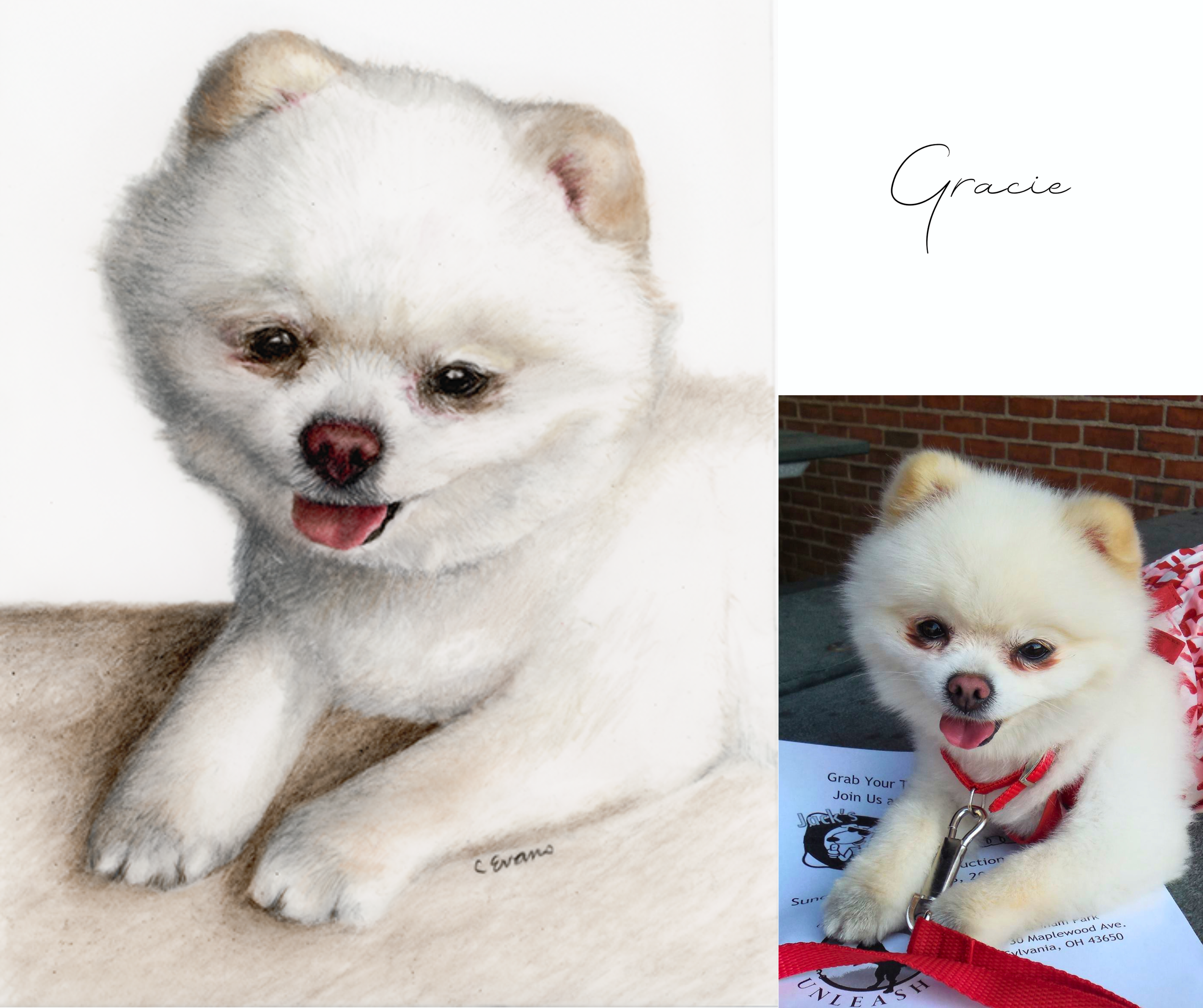 86 Gracie.png