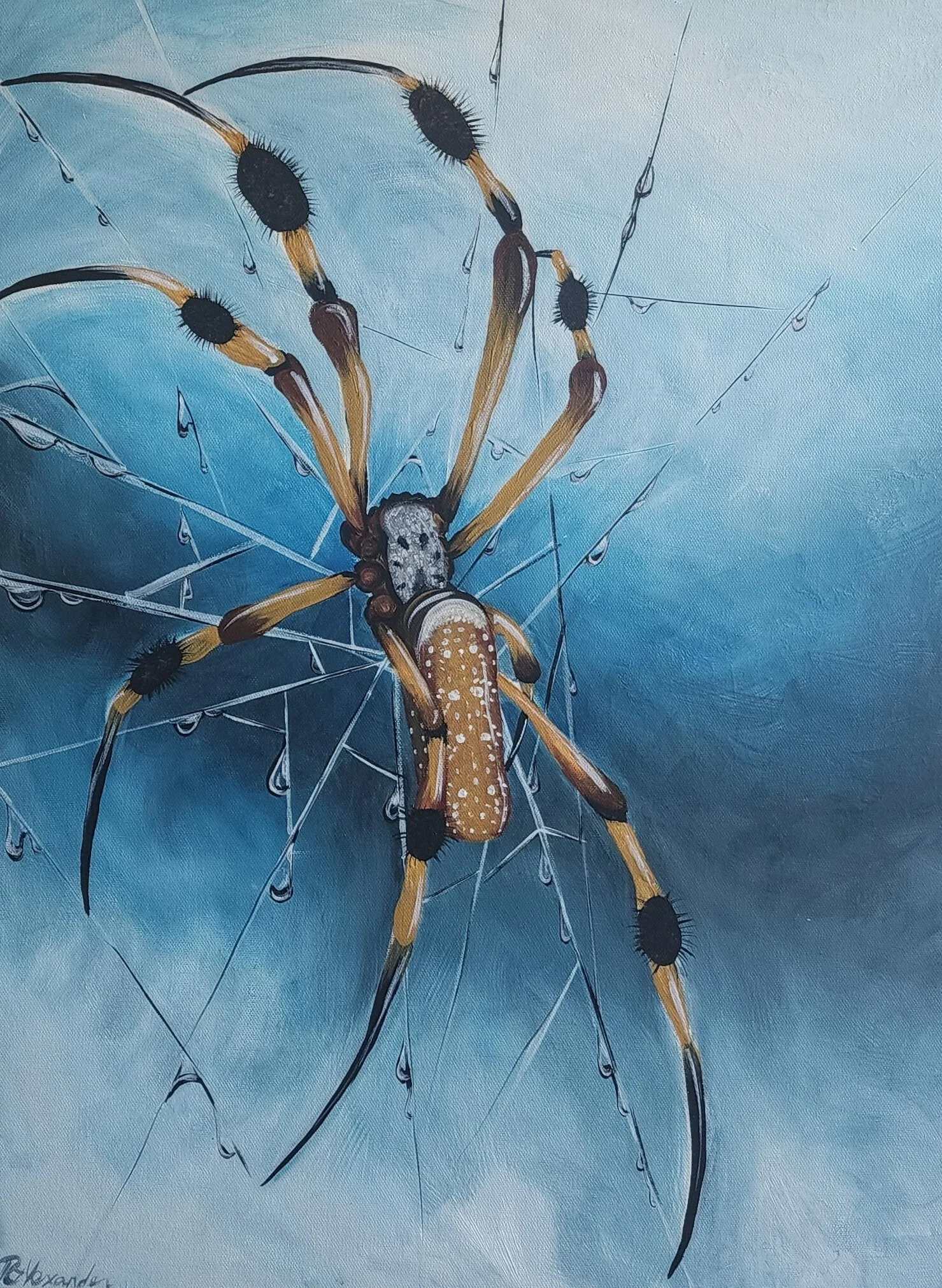 Dew Drops | Acrylic on Canvas | 18x24