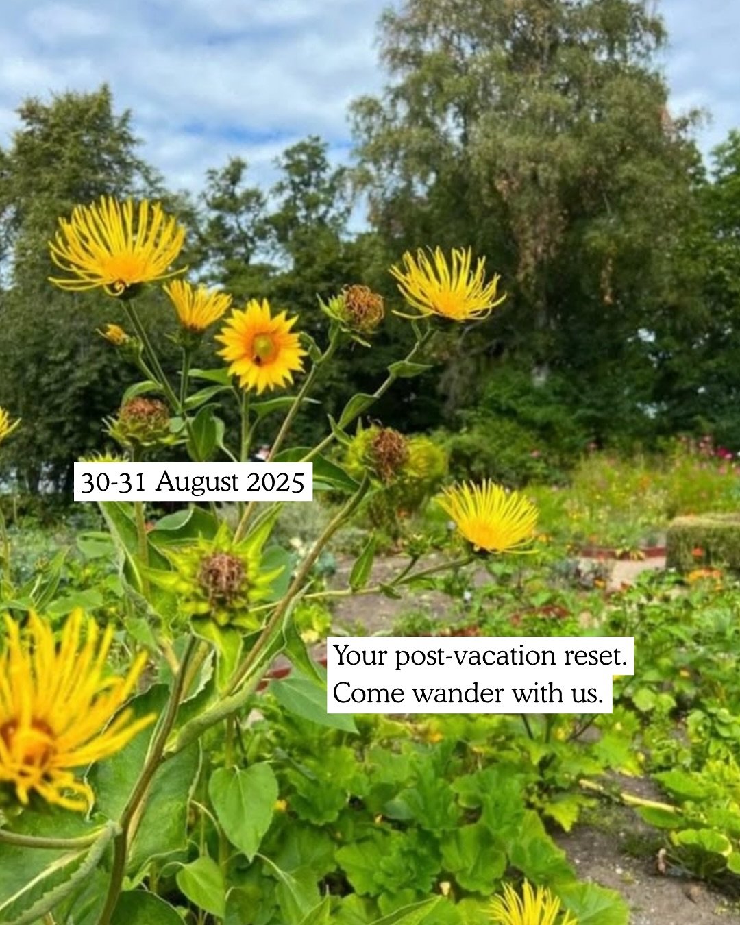 The best thing after your summer vacation. Join us! 🌸🍓🌼✨🌲🌞🍍🥐💗🪻🌝🥗

Link in bio or dm us for the link. 
Or share with someone who might need this kind of weekend!

#stockholm #thingstodo #weekend #fieldtrip #connection #community #slowliving