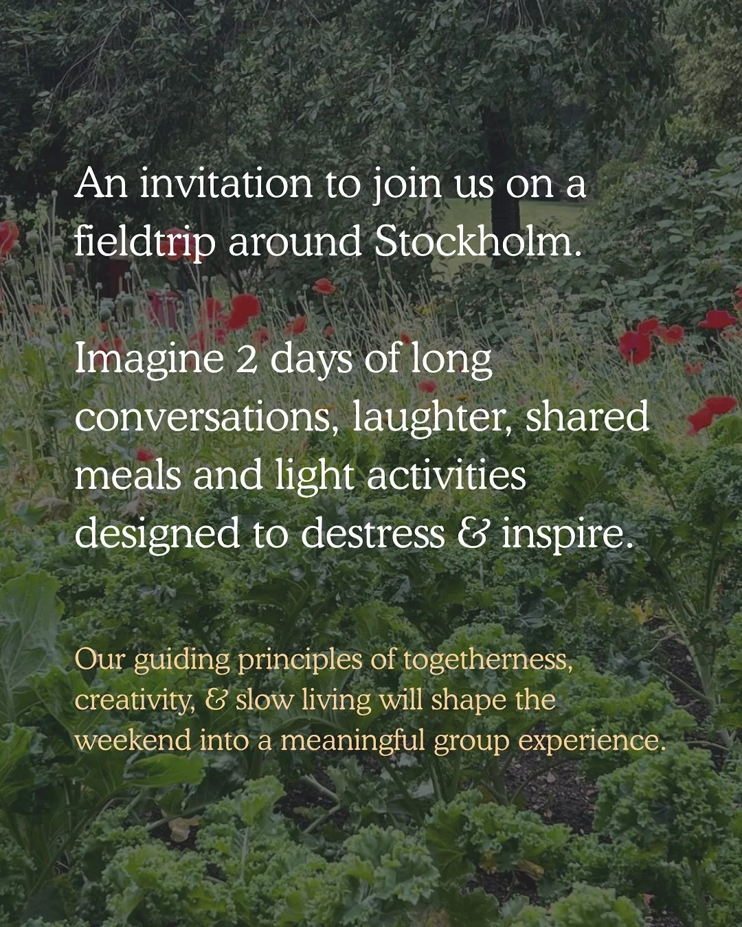 Southern Europe in July. Fieldtrip in August. You in? 

More deets on our August weekend 👉🏽👉👉🏻 Swipe through! 

❤️ Remember our early wanderer ticket sales end this Friday, so grab your spot soon ❤️

#fieldtrip #stockholm #myshelgv&auml;ntar #co