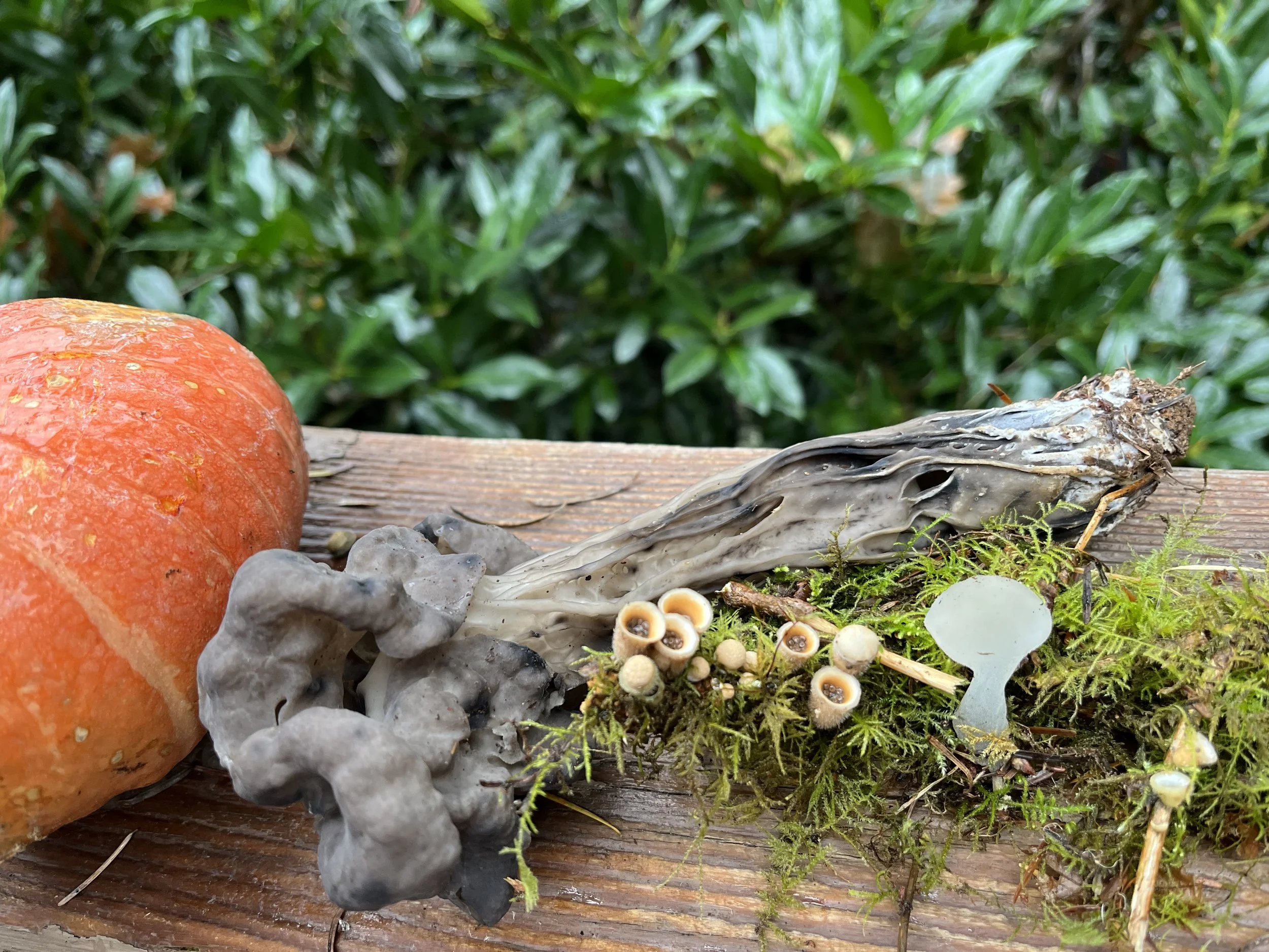 Trust and Transparency