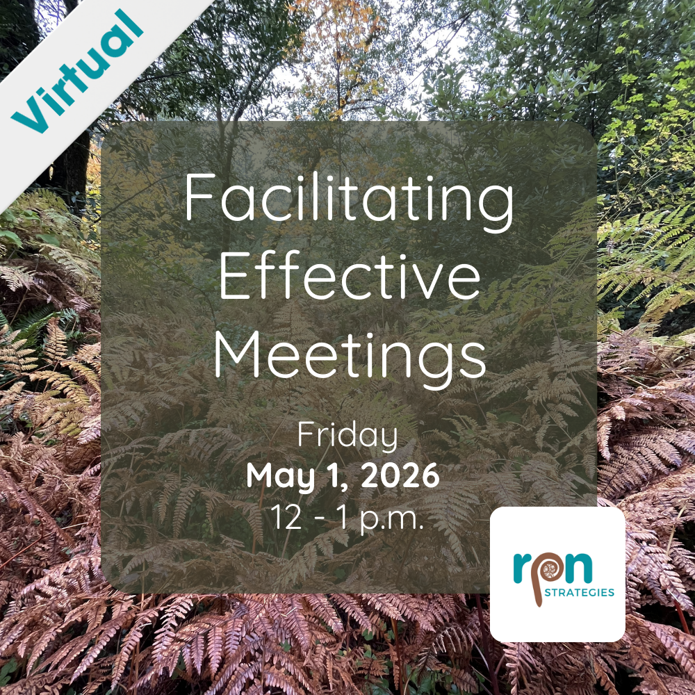 Facilitating Effective Meetings - Virtual