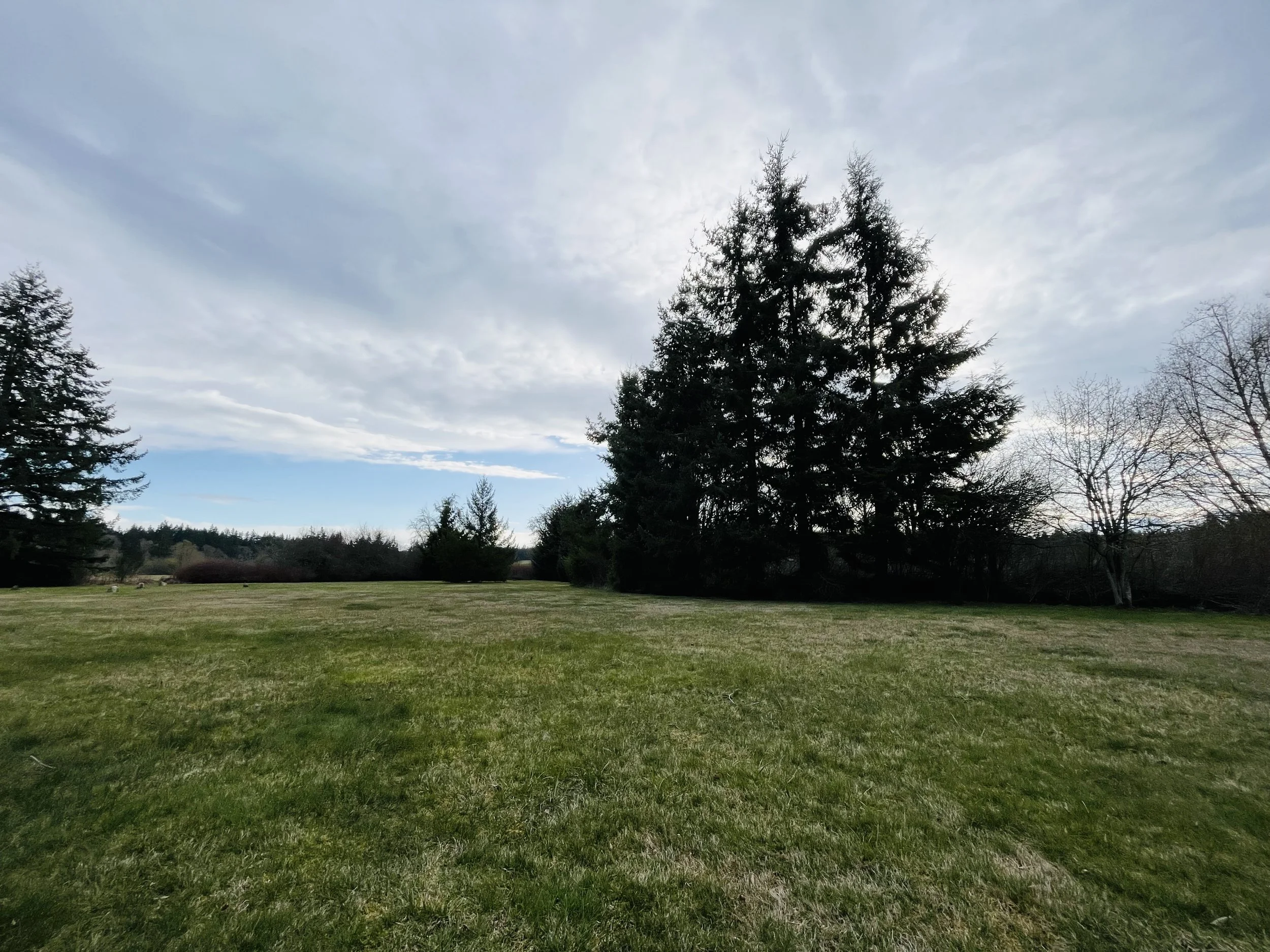 Cultural, Historical, and Gender issues - a core principle of the Trauma Informed Approach