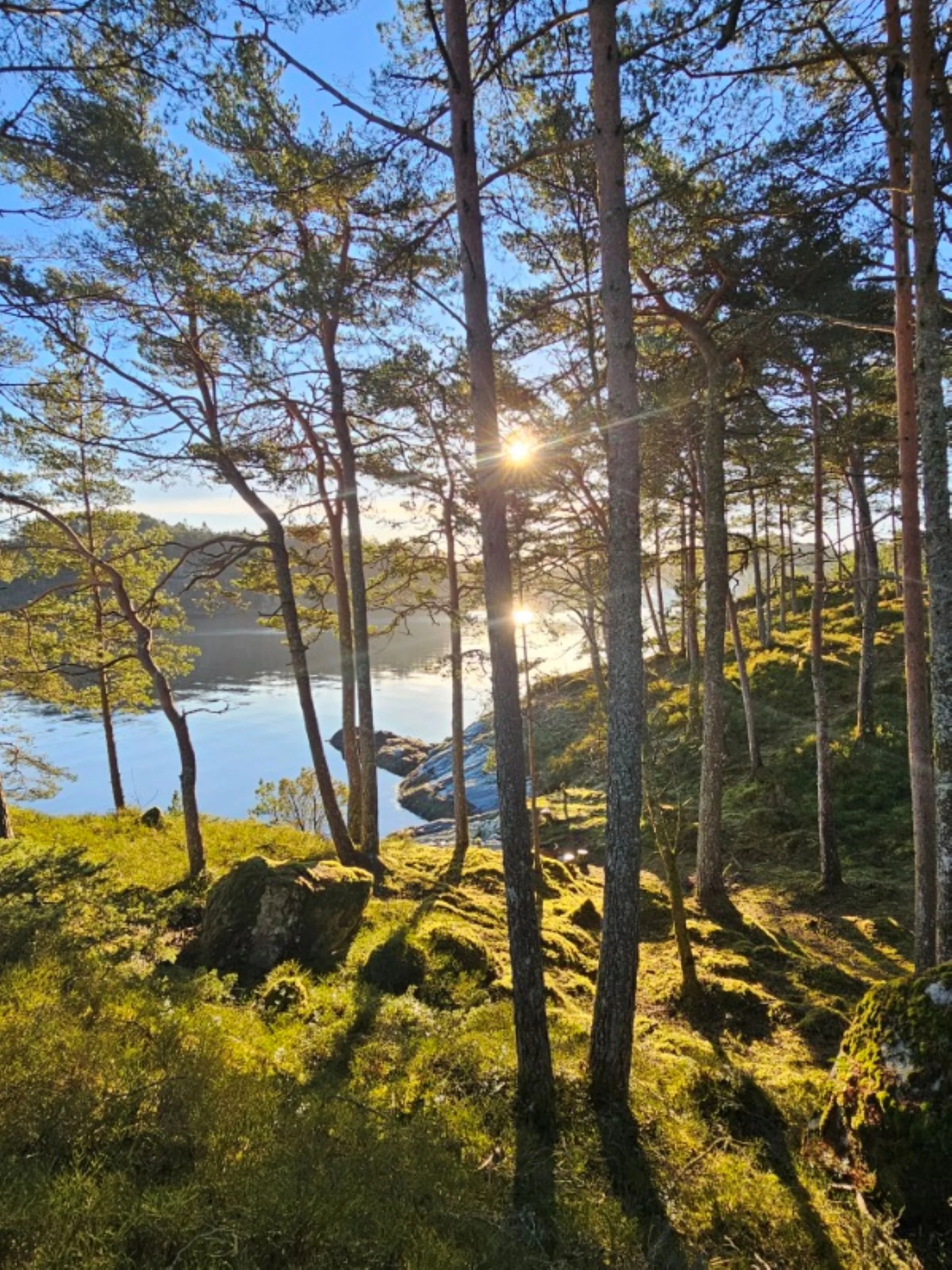 Bilde 07.03.2025, 14 41 09 (1).jpg