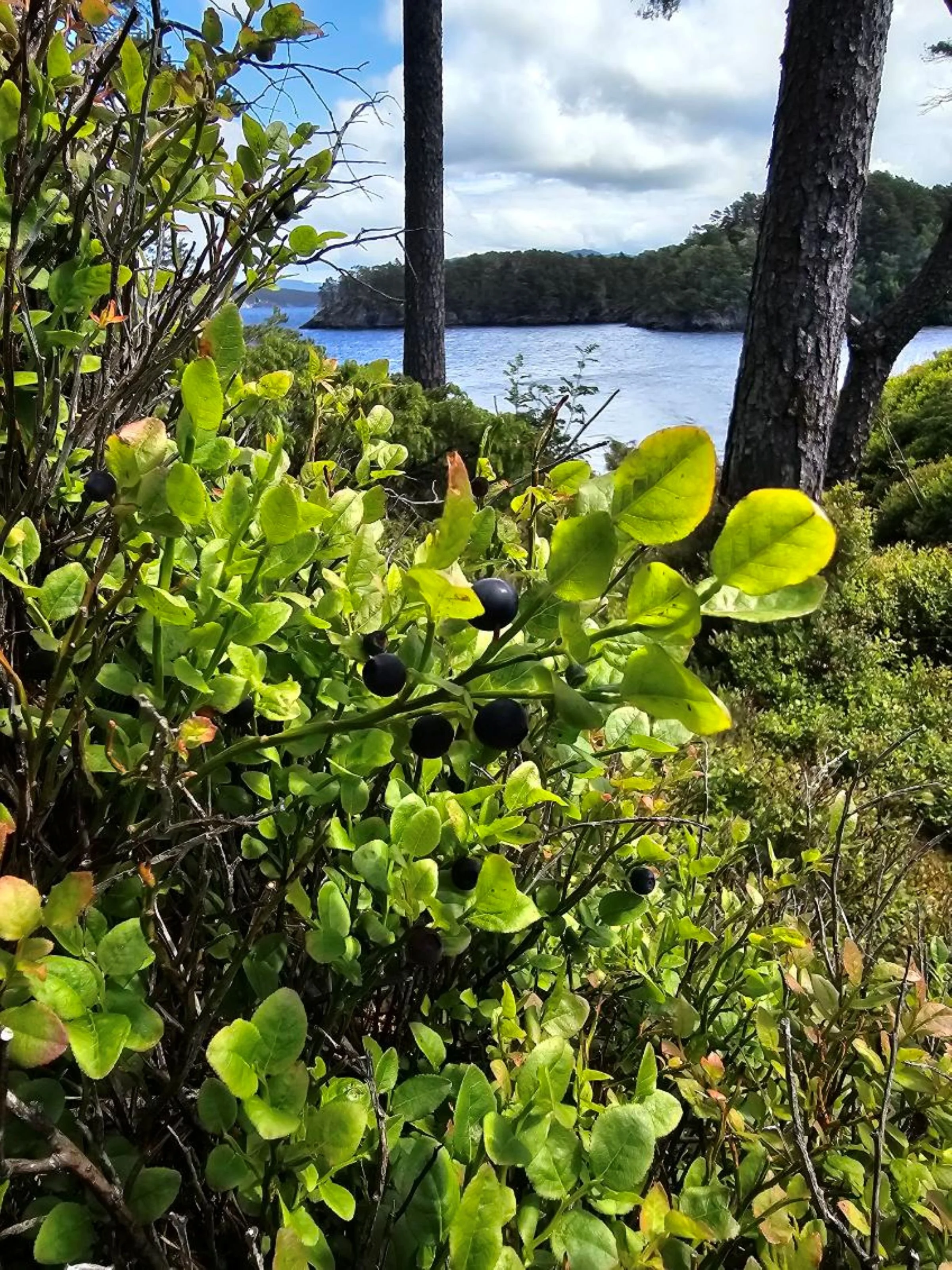 Bilde 04.02.2025, 16 24 25.jpg