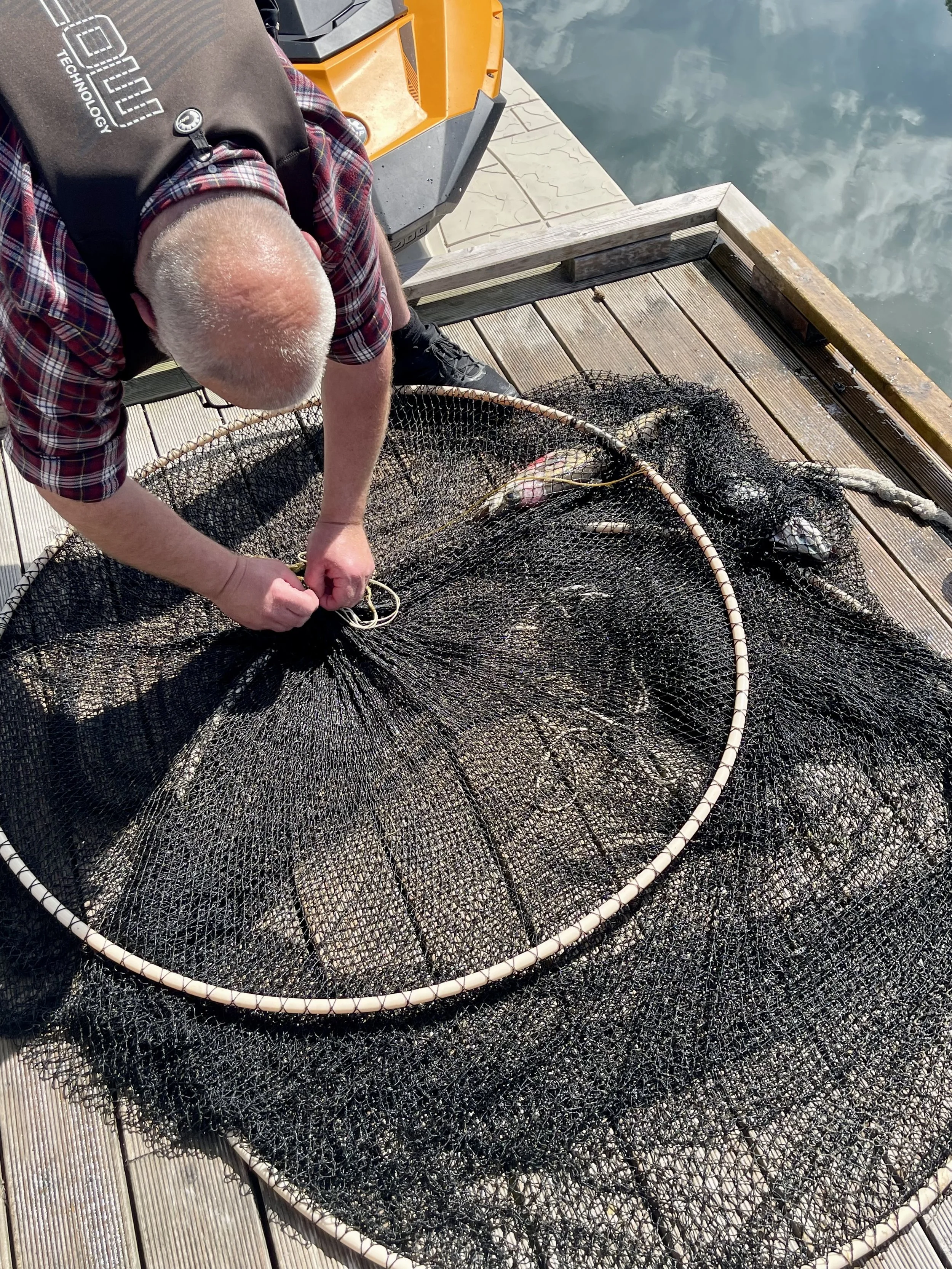 Furiholmen_Foto Elisabeth Svensvik_Bilde 16.05.2024, 13 07 32.jpg